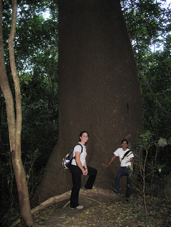 Read caption below image for description