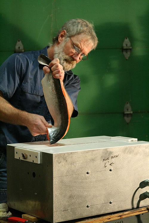 [Photo: Read caption below]