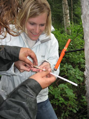 Photo caption below.