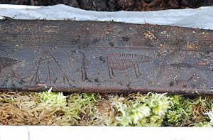 Photo caption below.