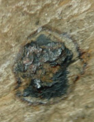 Photo caption below.