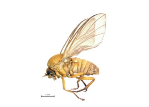 Photo caption below.