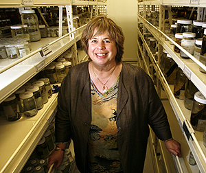 Photo caption below.