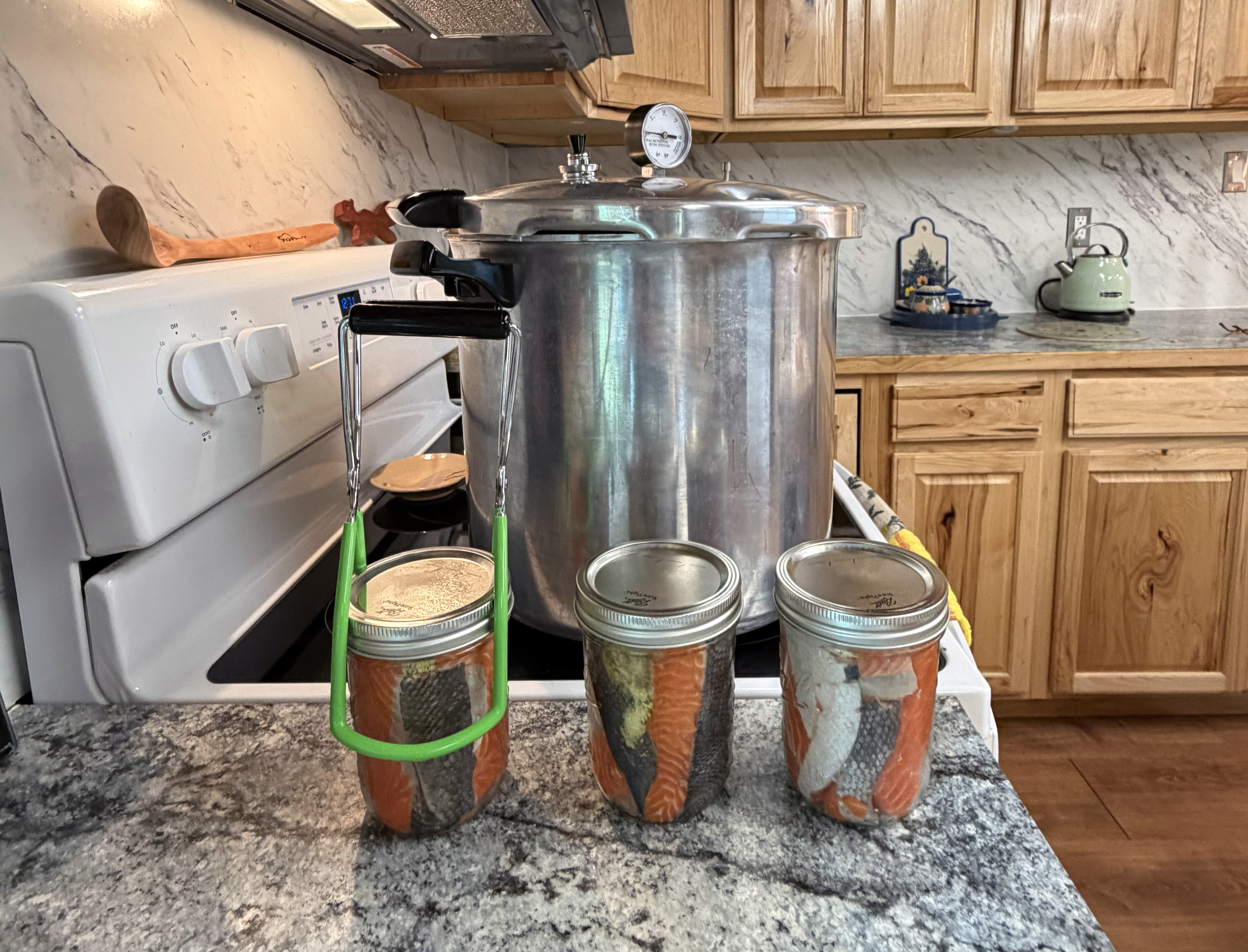 Three jars of salmon sit on a home kitchen counter in front of a pressure cooker in preparation for canning.