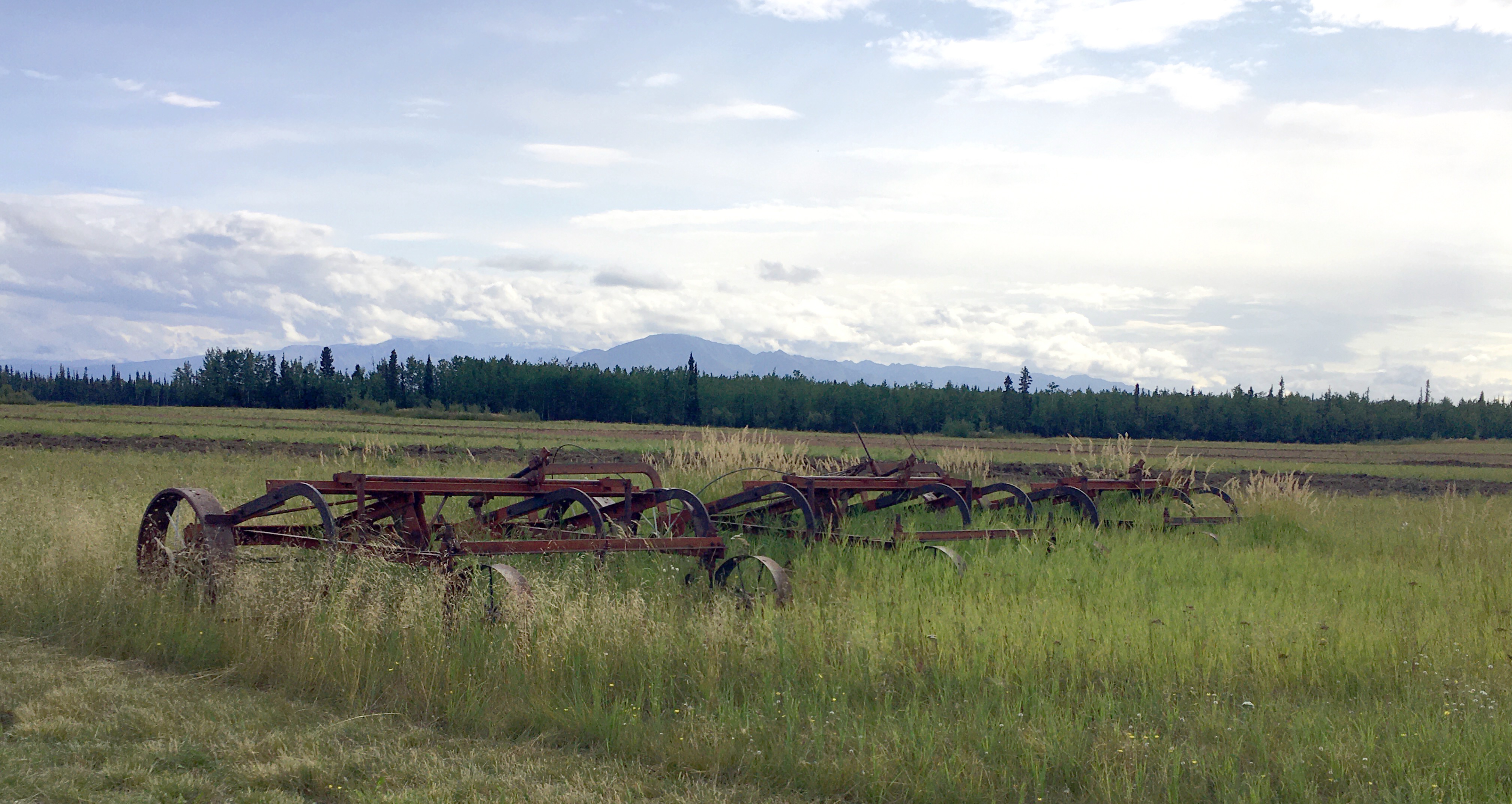 Old farm equipment lies in a grassy field with hills in the background.