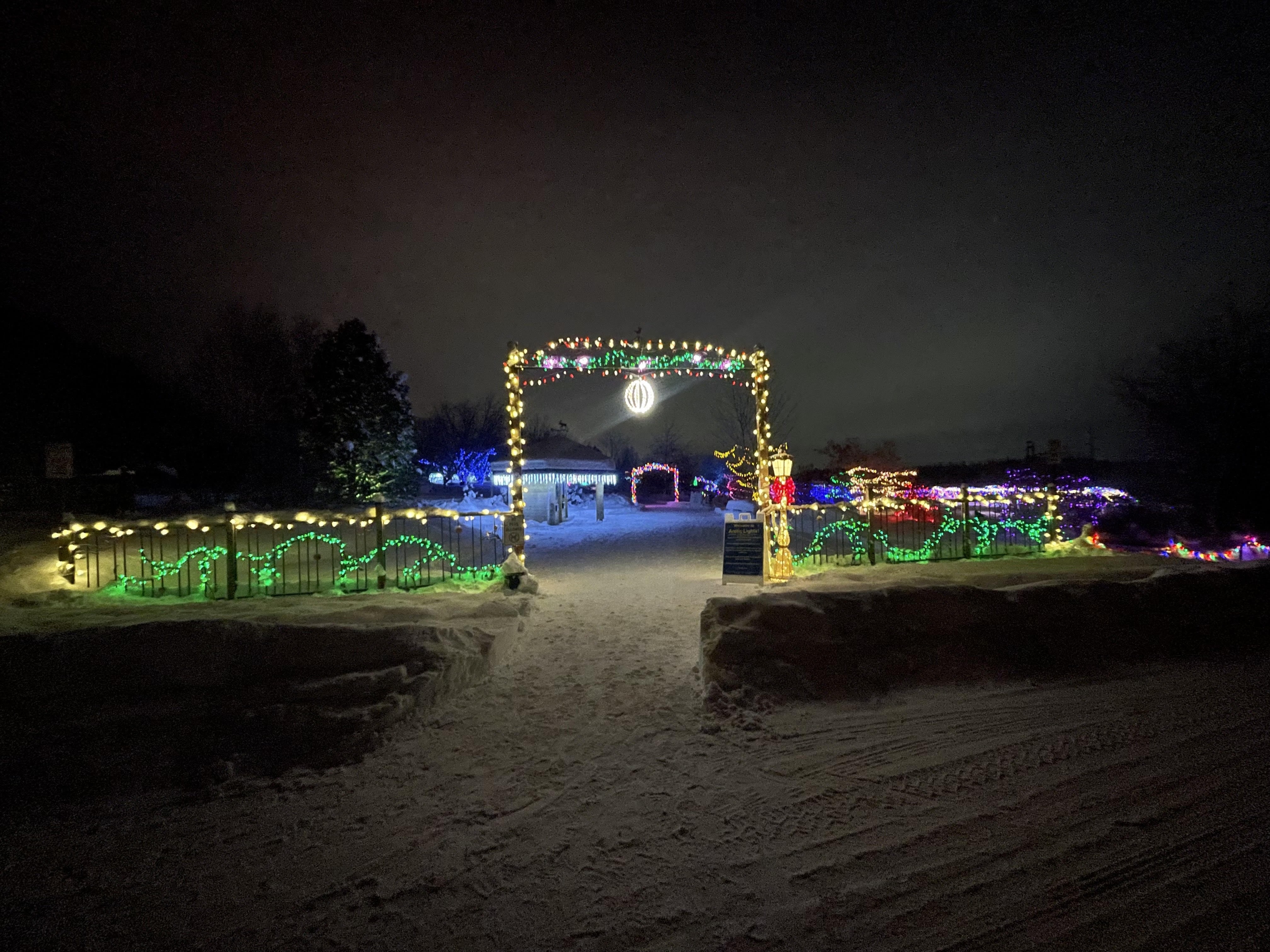 Colorful lights accent the entrance gate to a winter garden