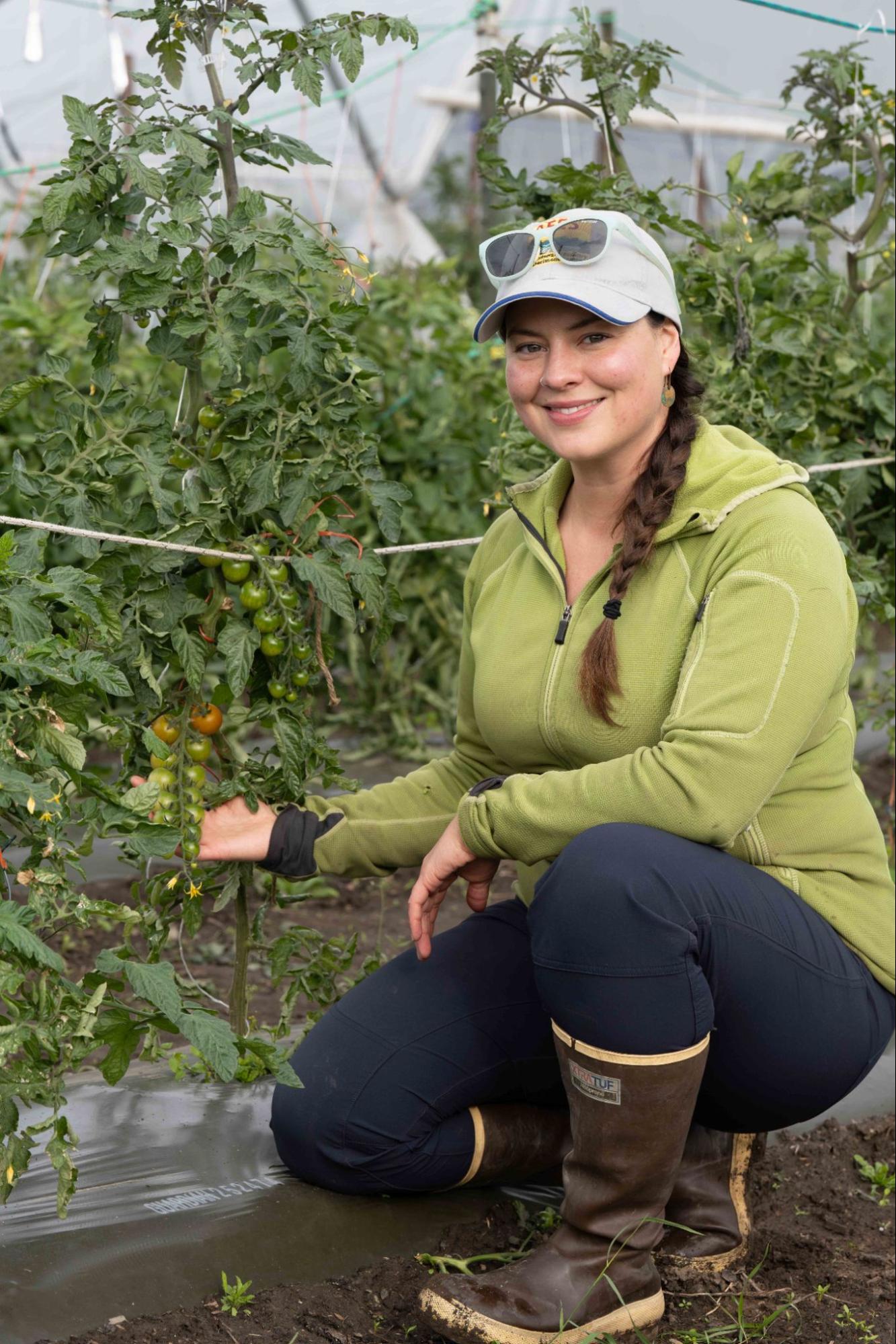 A woman, Glenna Gannon, kneels next to a row of ripening tomatoes in a high tunnel