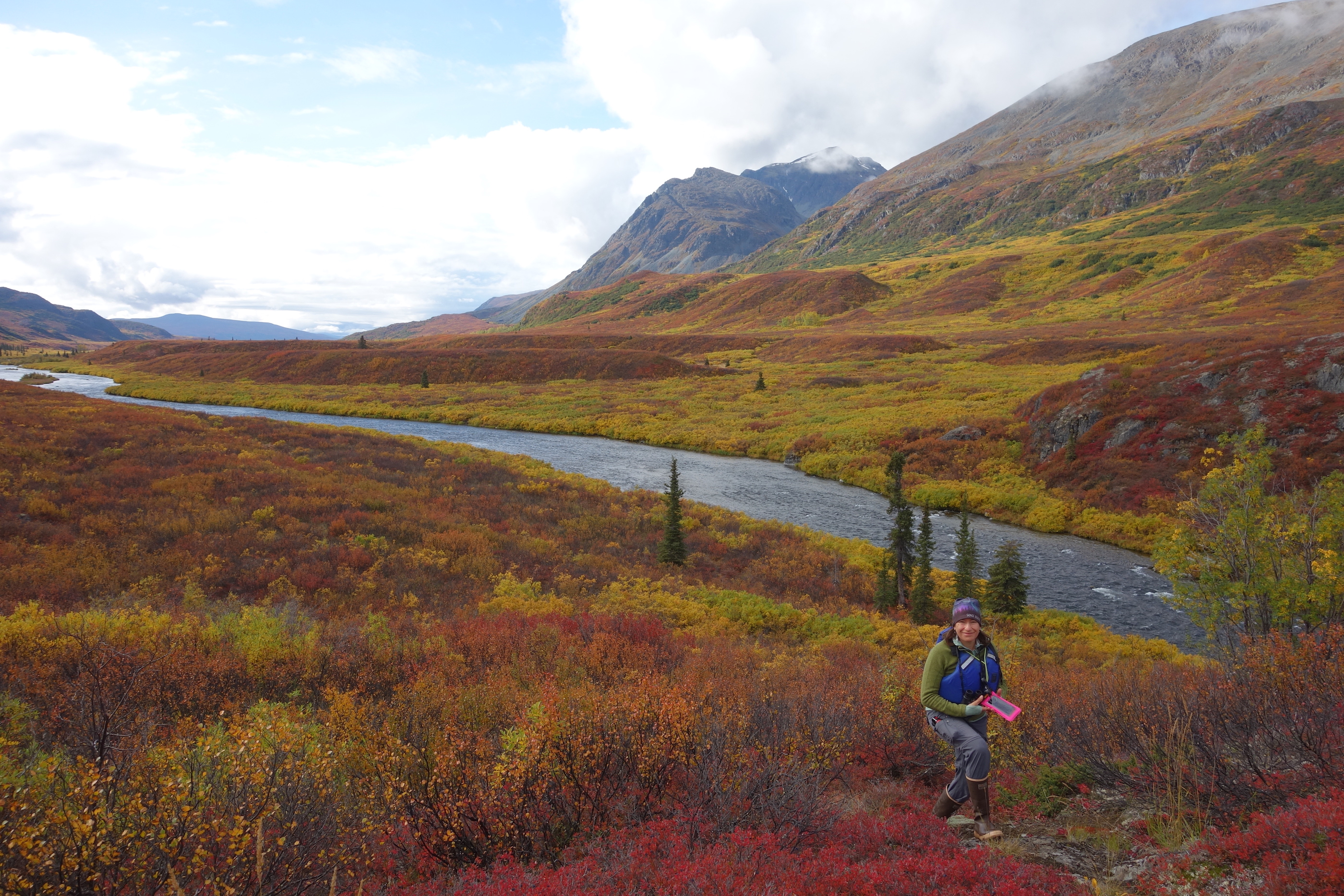 A woman hikes in a colorful forest