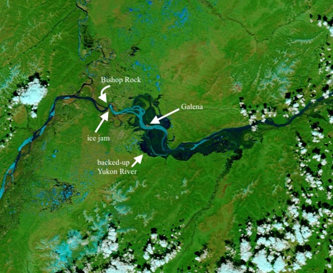 A river, marked by dark blue, runs across the center of a satellite image of the Earth's surface, seen in green. The river widens greatly upstream of a constricted point blocked by ice, seen in light blue. Puffy clouds float above the Earth's surface across parts of the image.