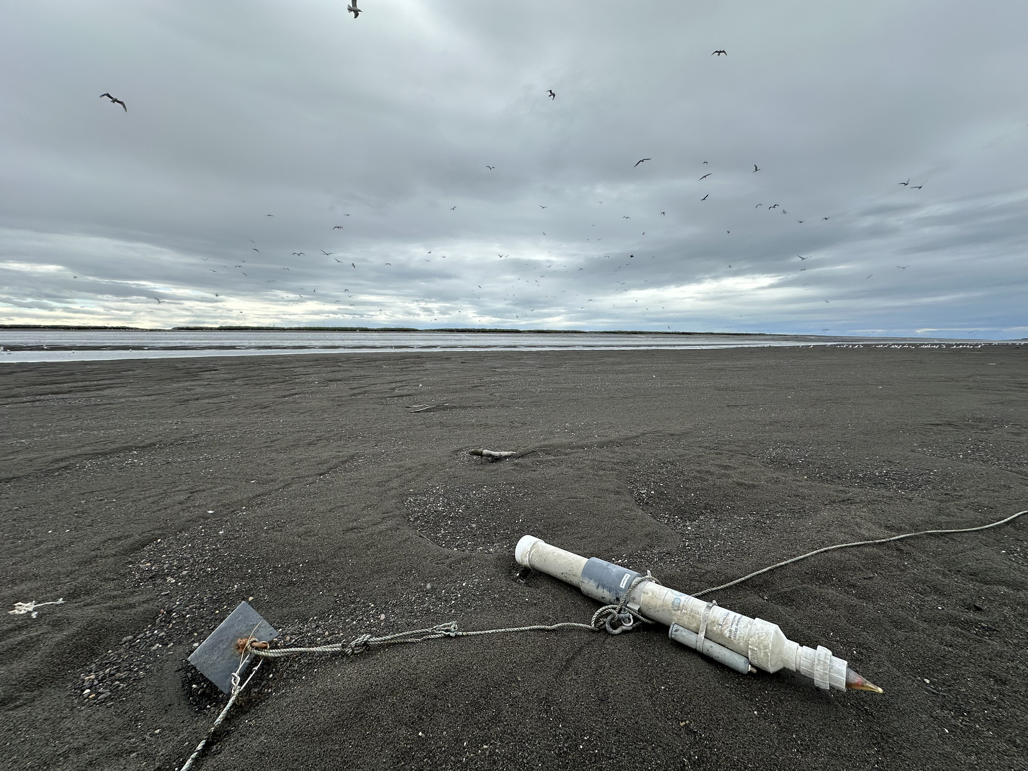 An acoustic receiver rests on the shore of the lower Kenai River during low tide. The receivers are used to monitor tagged salmon as they migrate to Cook Inlet.