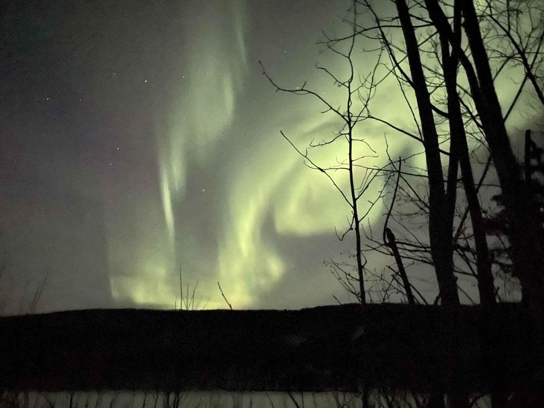 Green aurora swirls in the sky above a dark hill. Deciduous trees in the foreground are outlined by the glow.