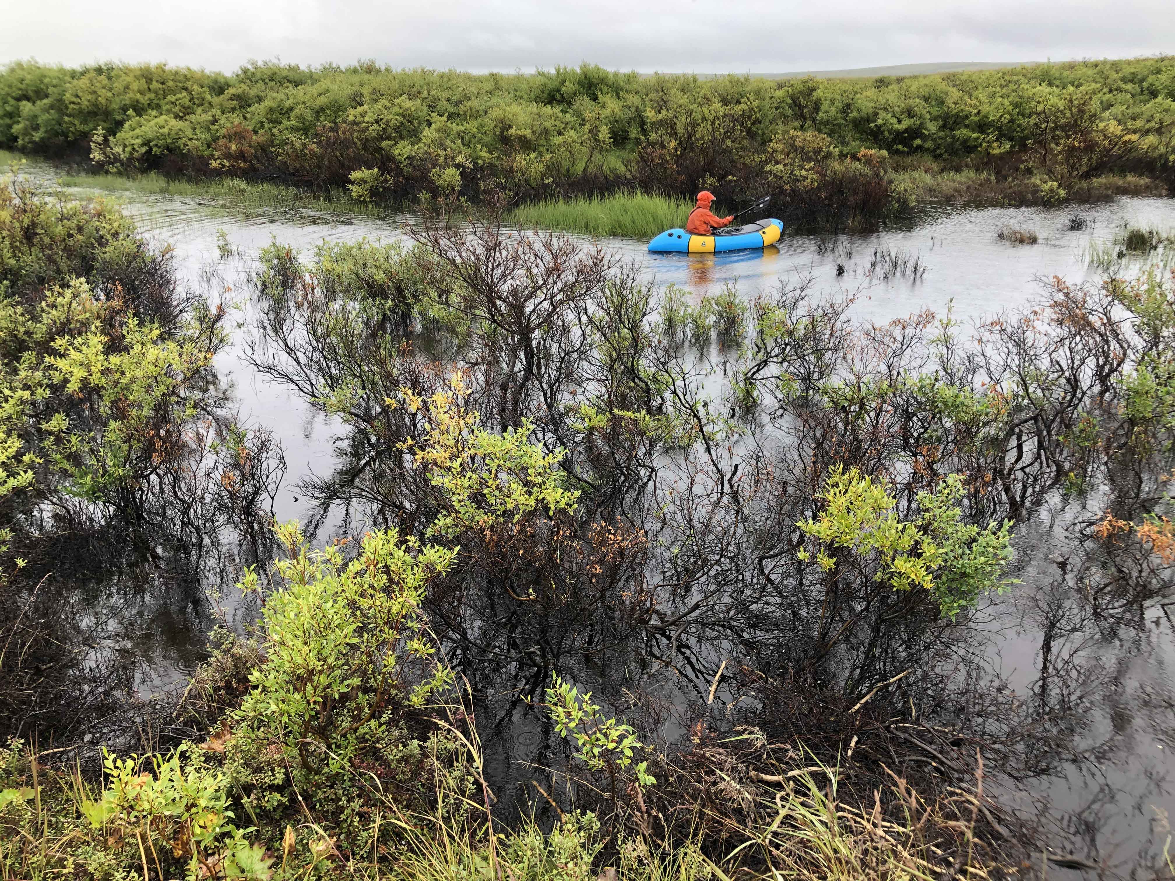 Beaver pond in Alaska