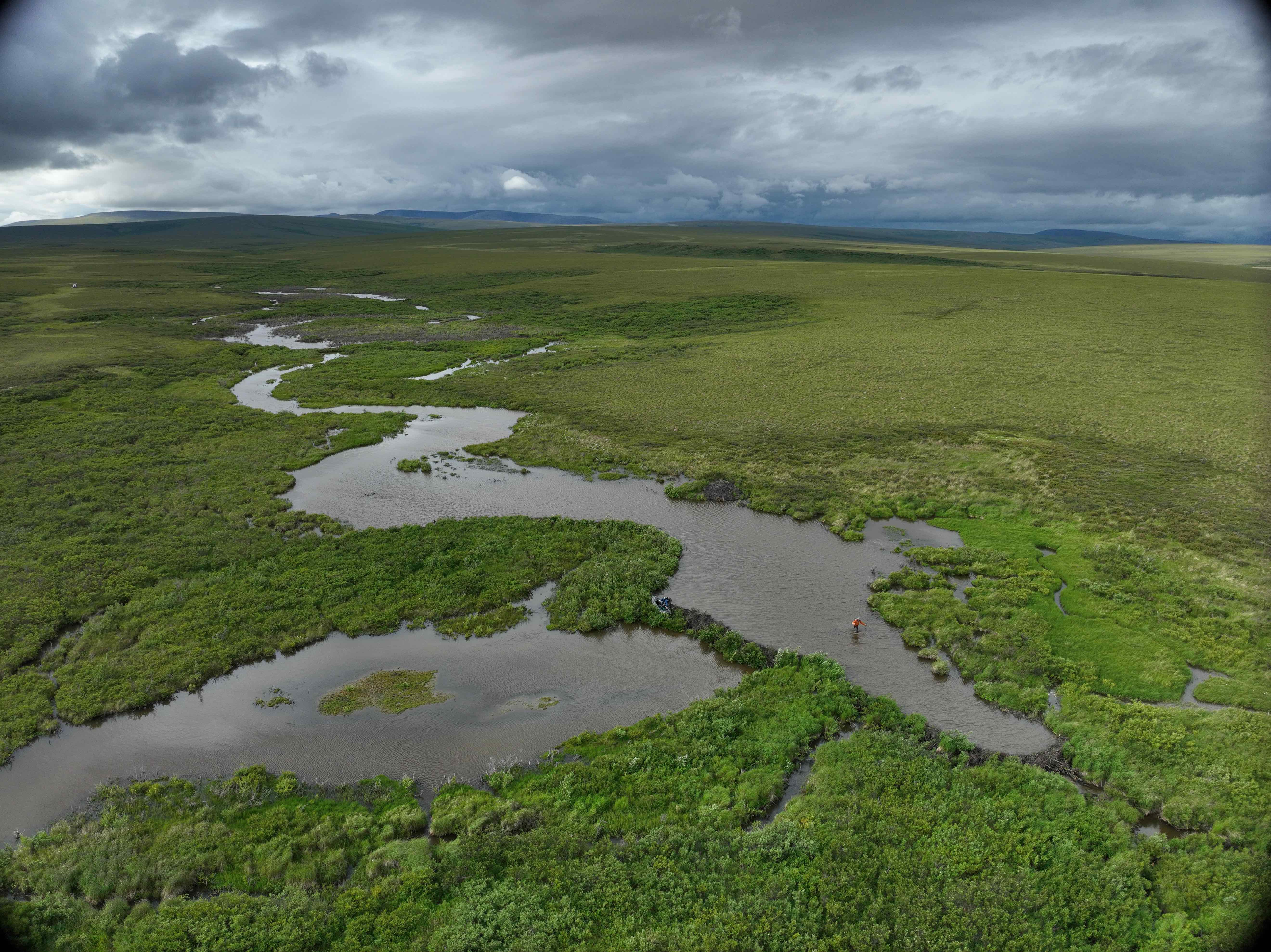 Beaver dam complex in northern Alaska