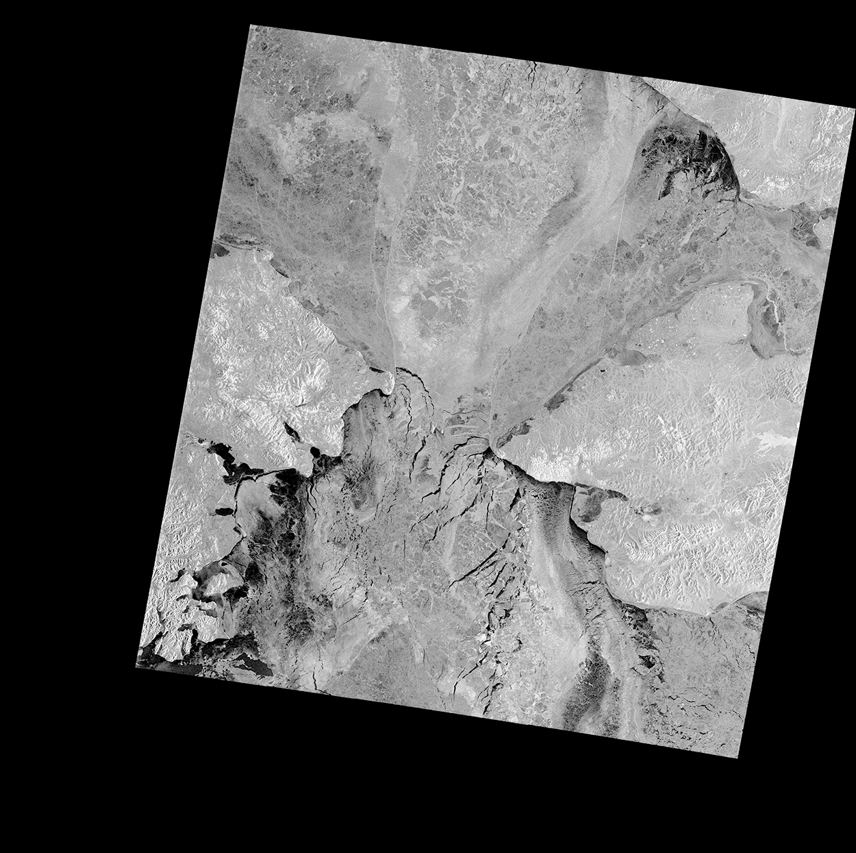 Bering and Chukchi seas