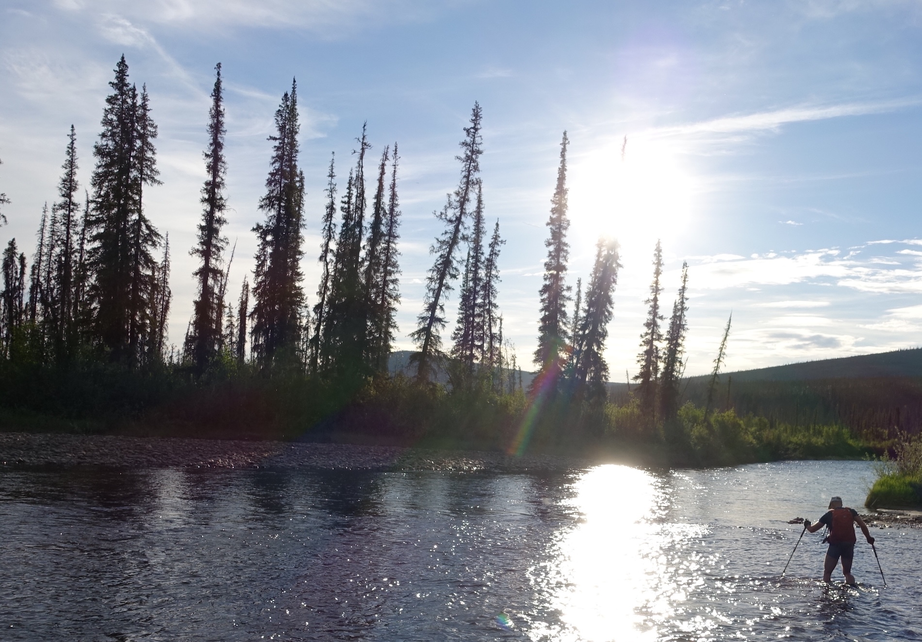 A man with hiking poles crosses a river bordered by tall spruce trees under blue skies with the sunlight reflecting off the water.