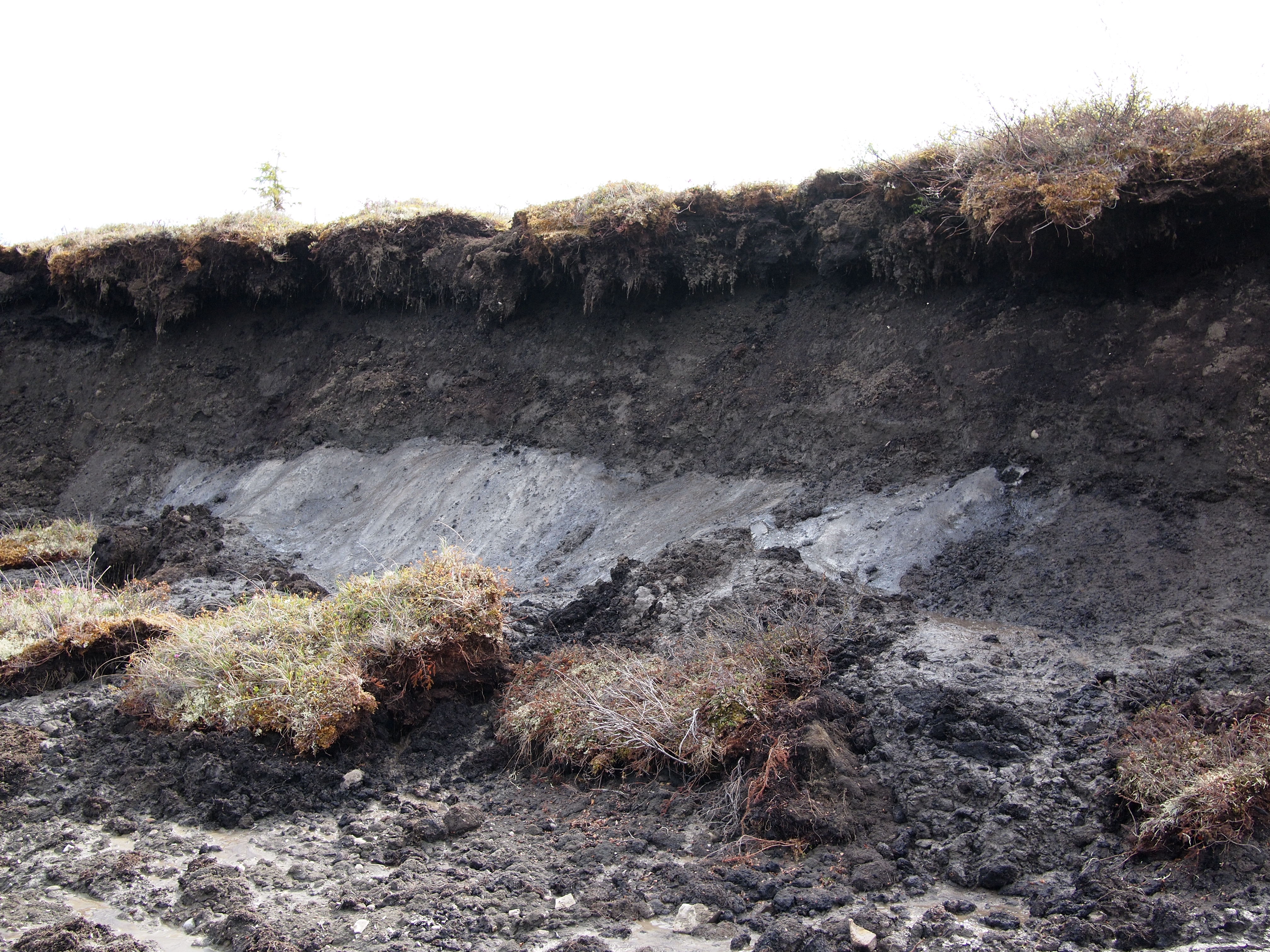 Exposed Canada permafrost