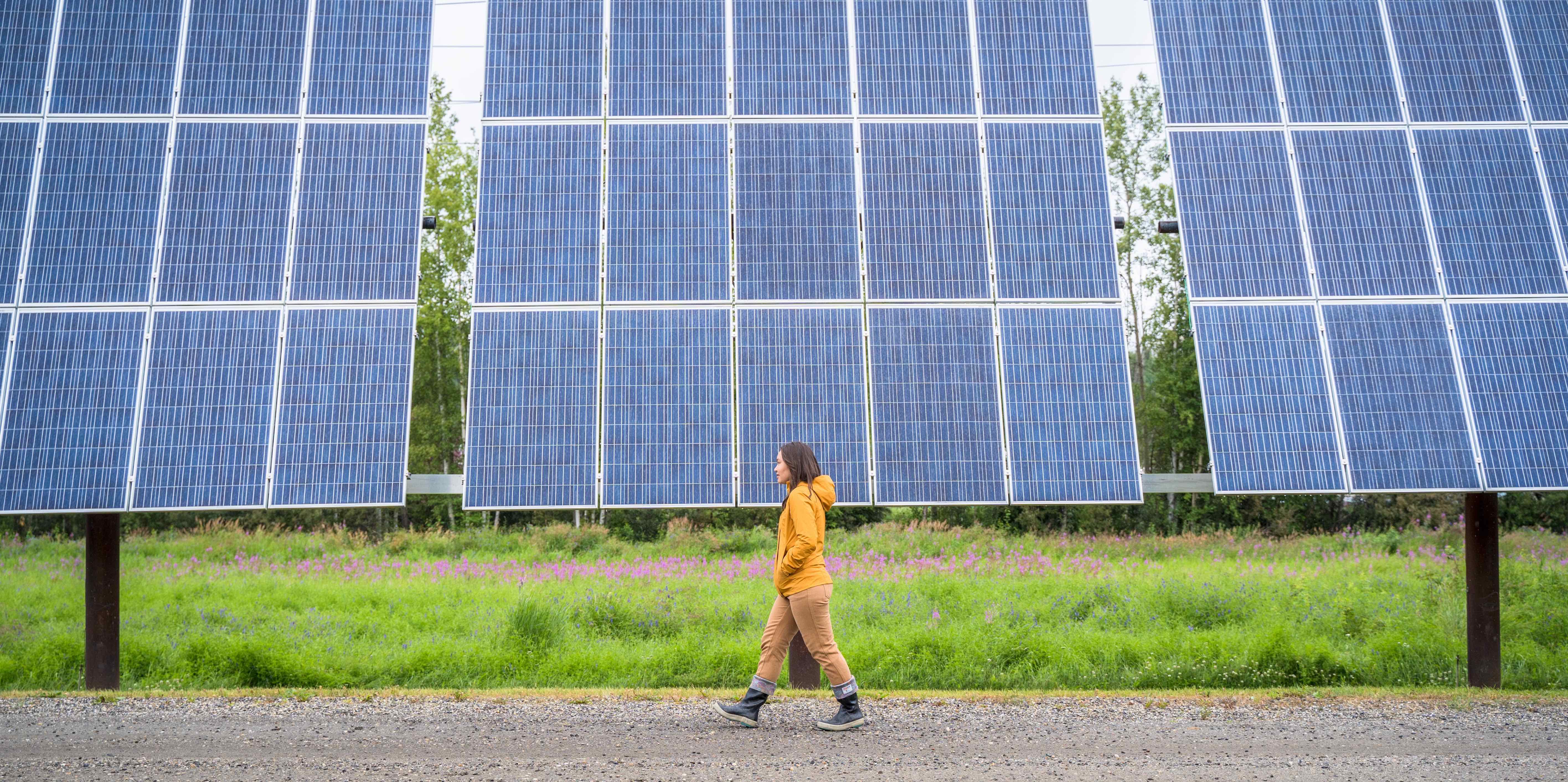 Person in front of solar panels