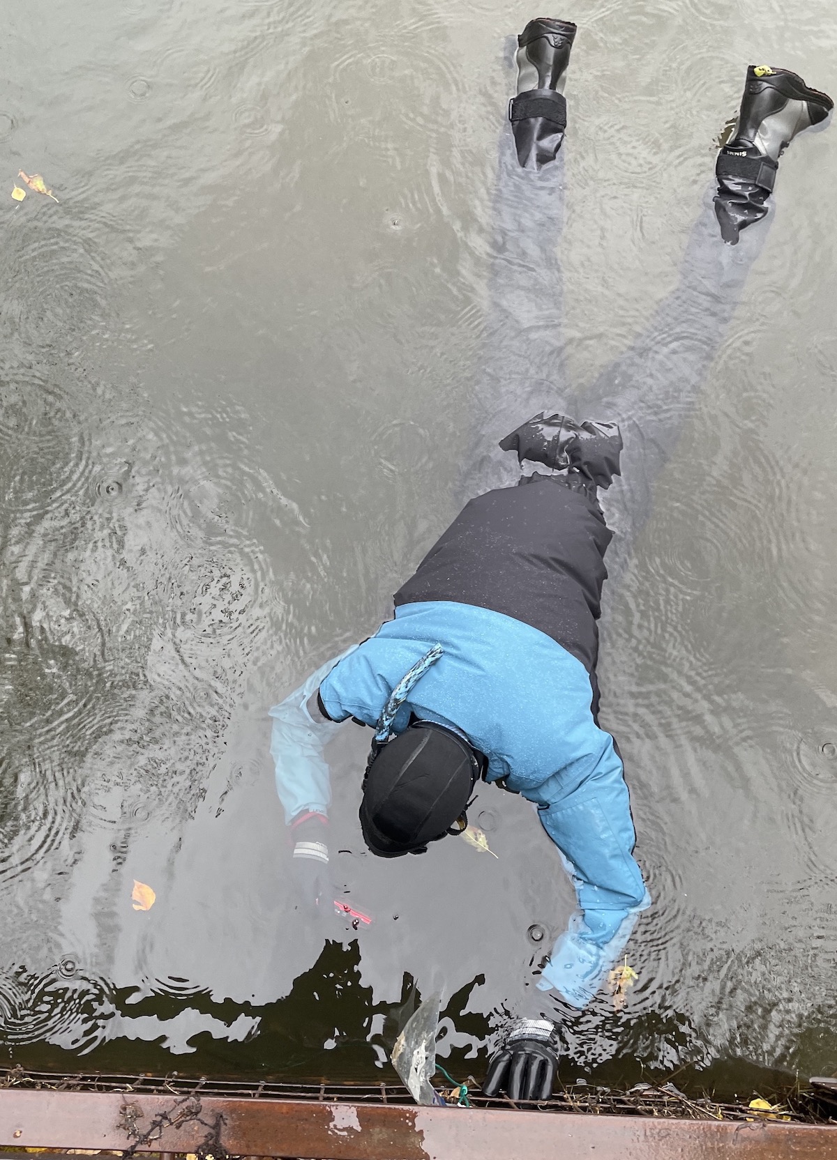 A man in a blue and black drysuit floats face down in water.