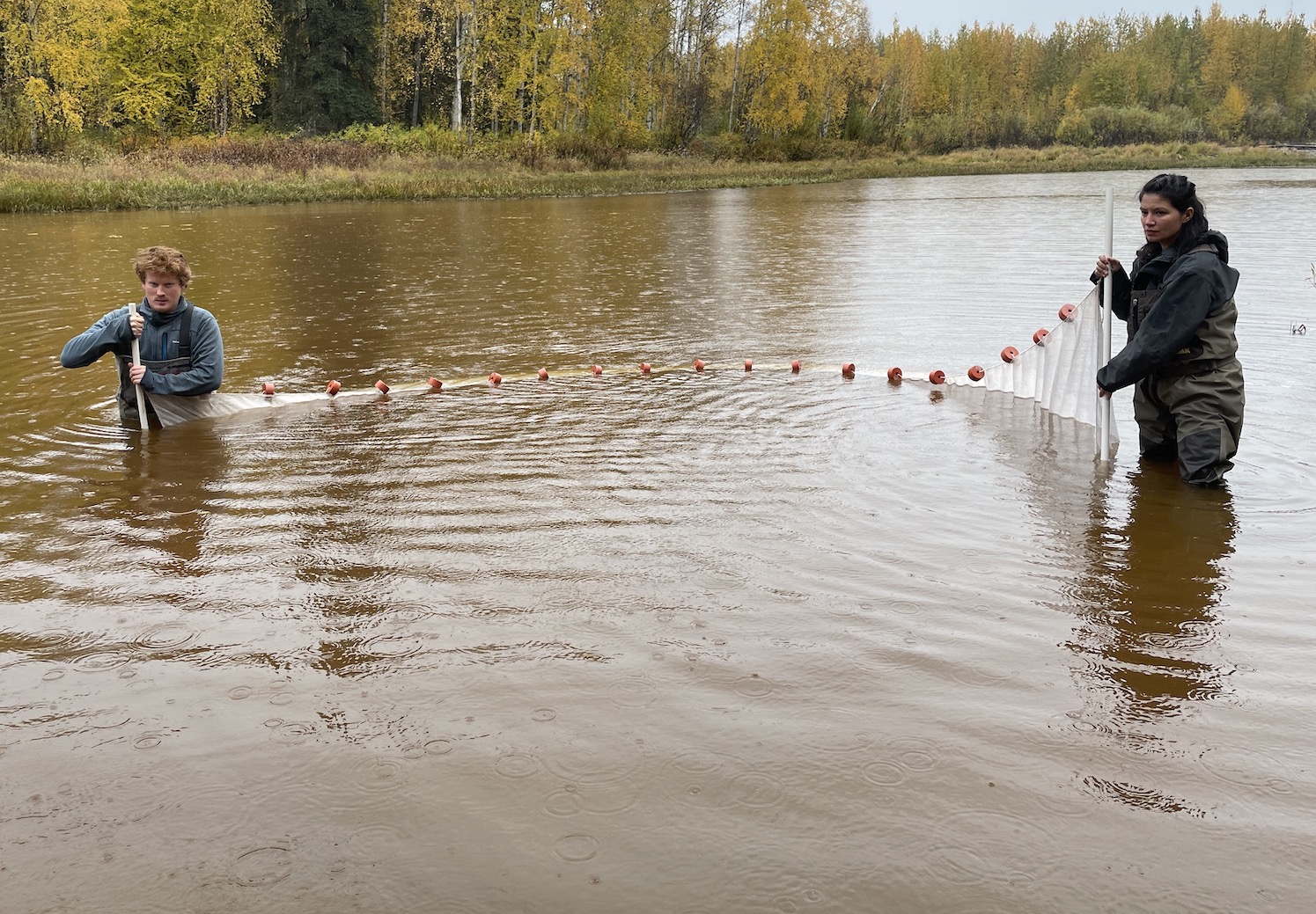 A man and a woman stand in waste-deep water while holding a fish net.