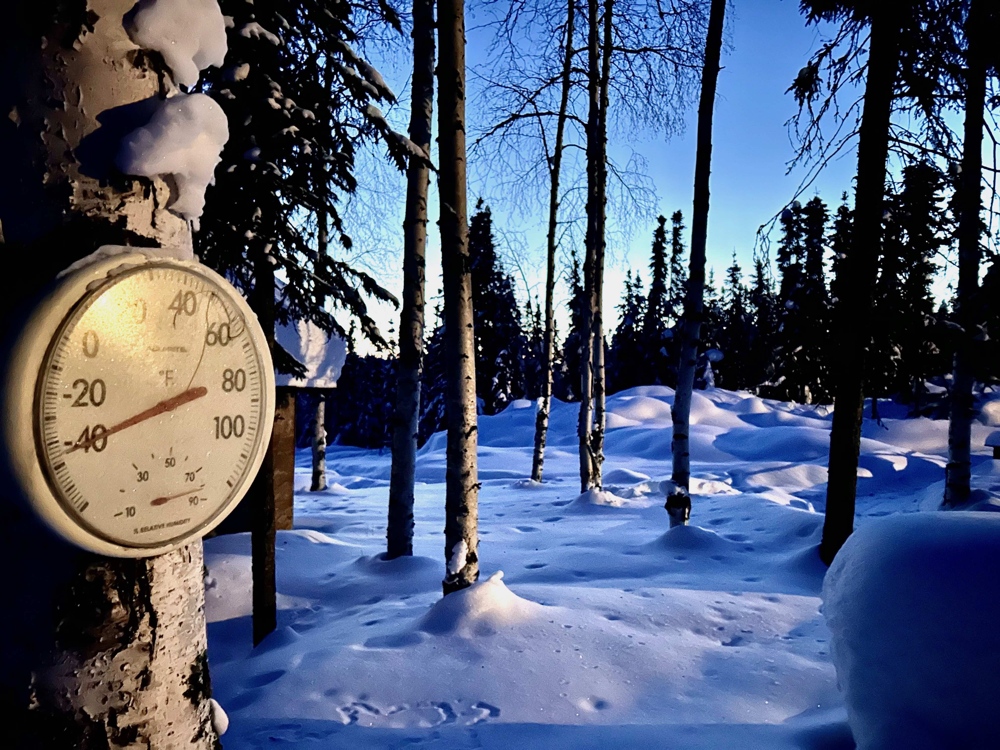 A round outdoor thermometer mounted on a snow-covered tree reads about minus 45 degrees Fahrenheit in a quiet, snow-blanketed forest of tall birch and spruce trees. Long blue shadows stretch across the deep snow under a clear sky. The image shows extreme cold conditions at a home in Two Rivers, Alaska, on March 11, 2026.