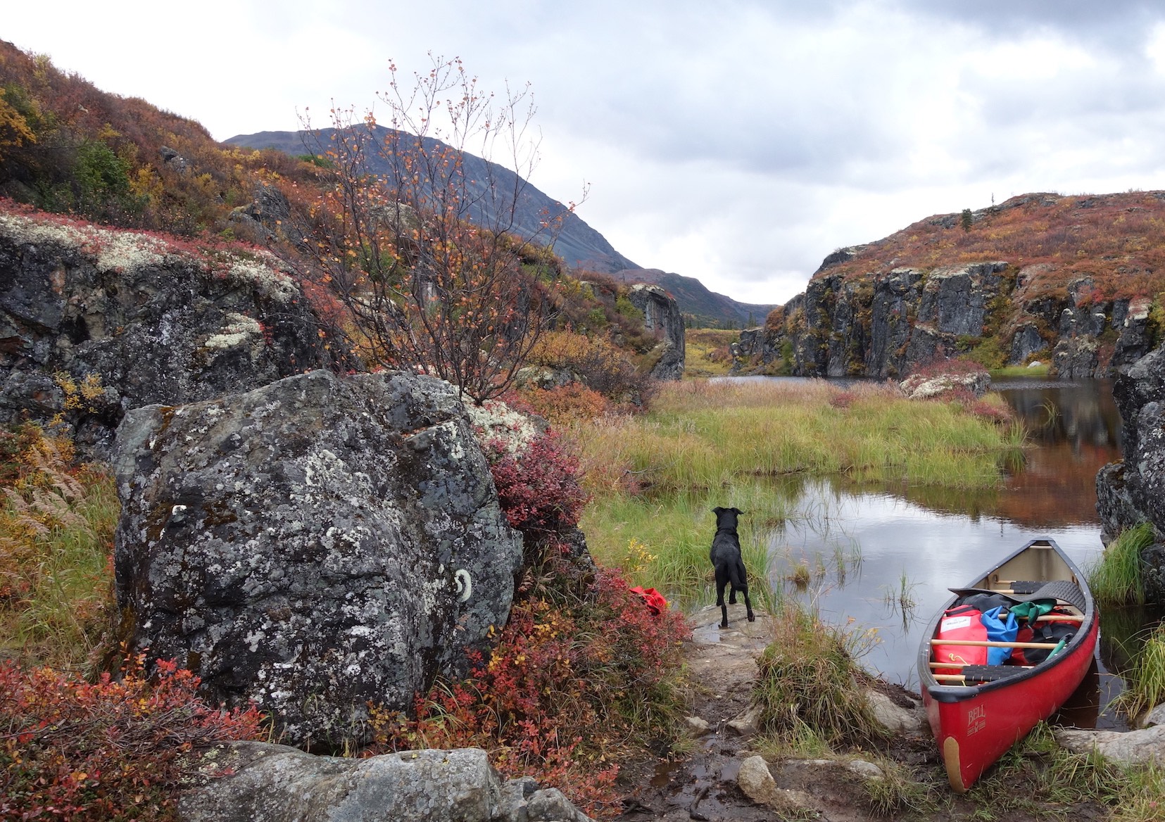 A canoe rests on still water in a small bay in a river's rock canyon while a dog stands on shore next to it.