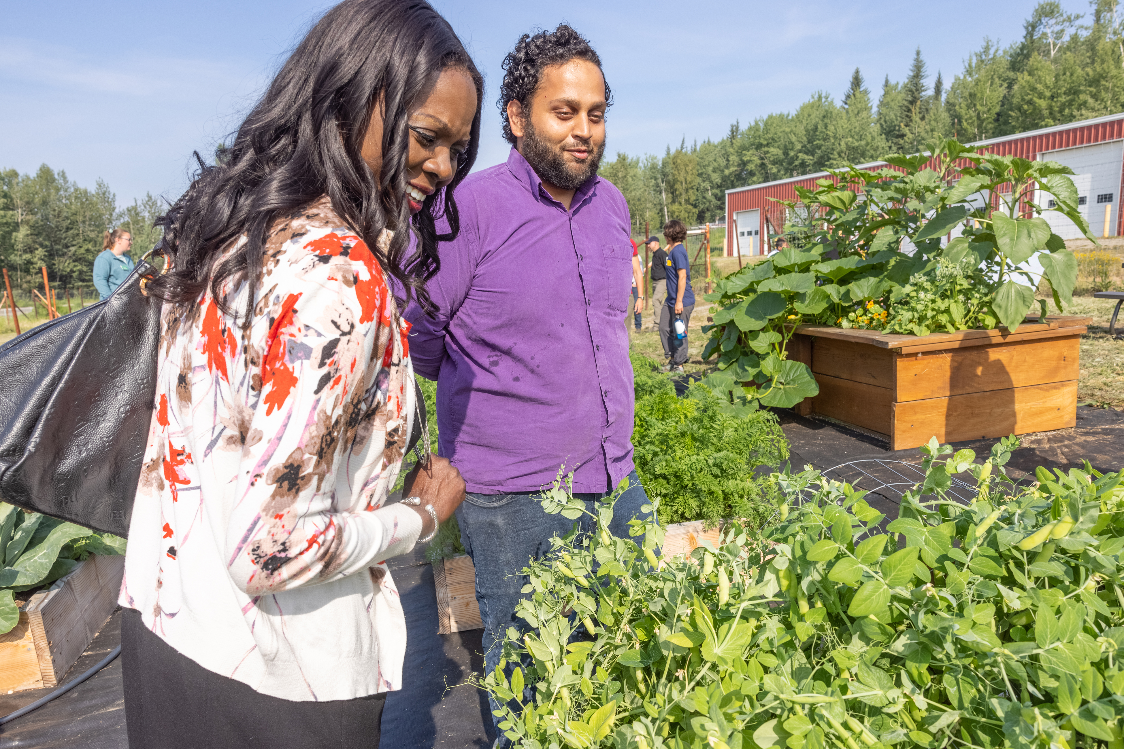 A woman wearing a floral sweater looks at garden plants while a man in a purple shirt looks on. 