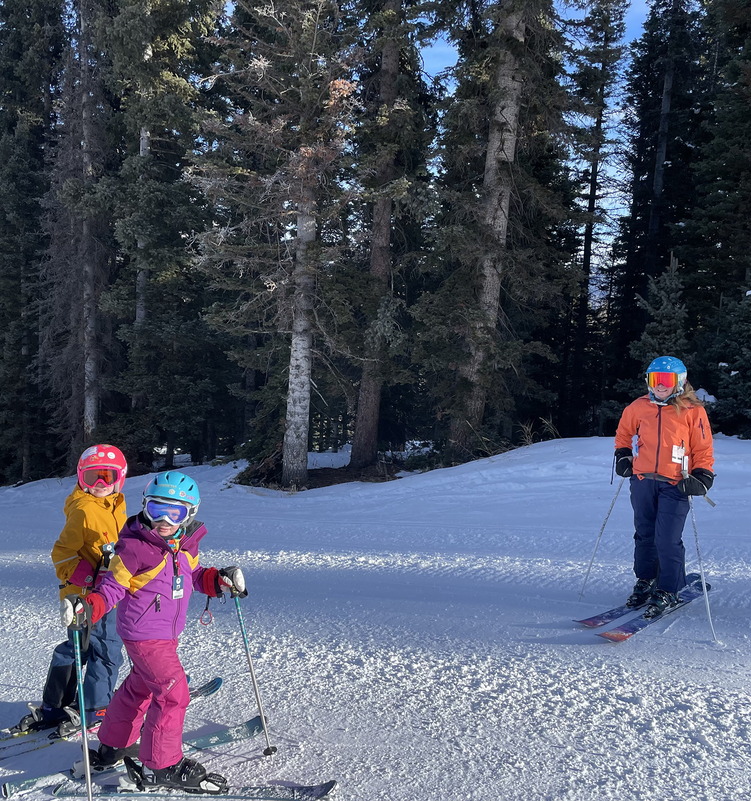 A mom with two children skis.