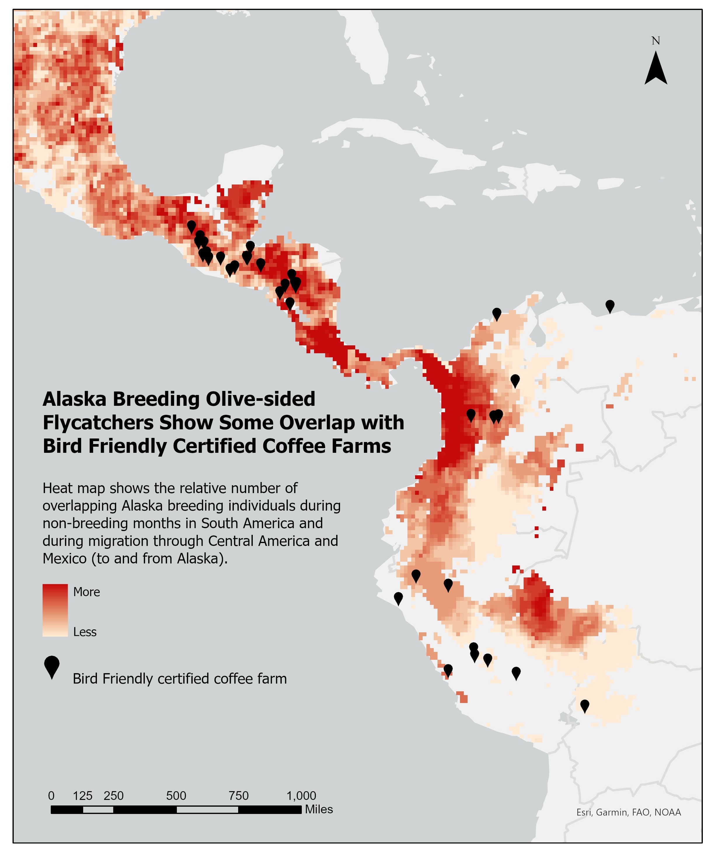 Shades of orange on a map of southern Central America and northern South America shows the relative density of Alaska-breeding olive-sided flycatchers during non-breeding months. Pin markers also show locations of bird-friendly coffee farms. 