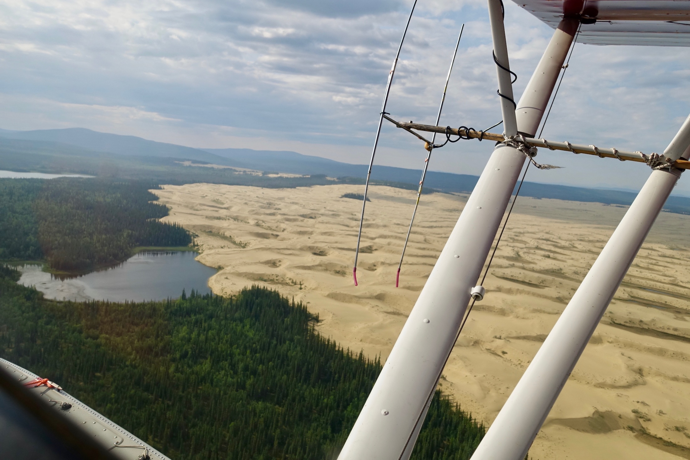 An expanse of yellow sand dunes abuts green forest and lakes in a picture taken from a small aircraft. The plane's wing struts and float are visible in the photo.