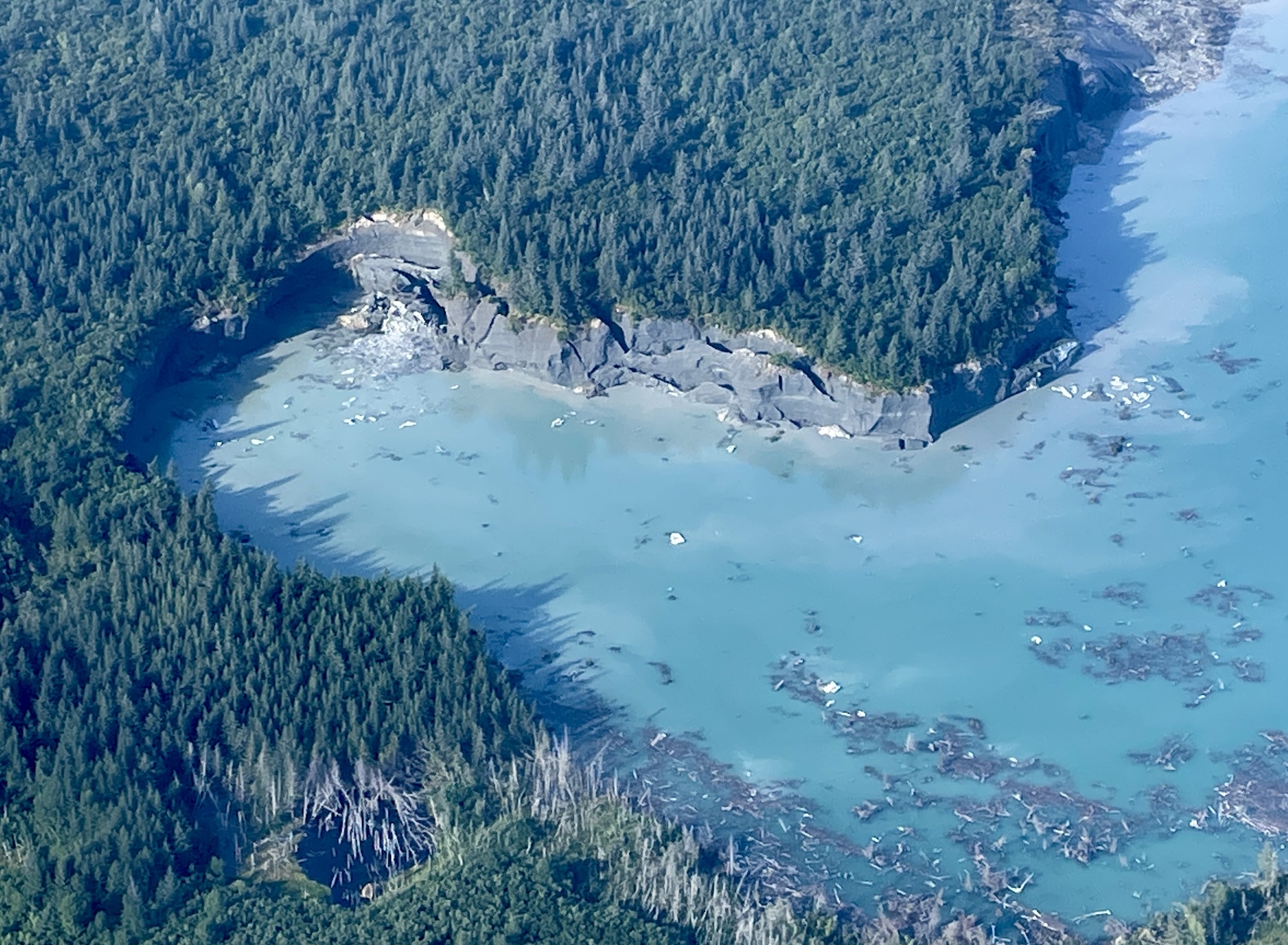 Forest grows on top of ice collapsing into a bay of blue water.