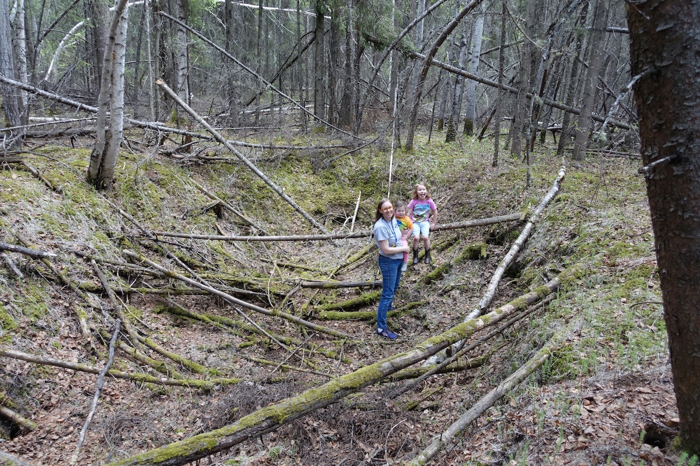 A woman holding a child stands in a depression in a forest while another child sits on a log suspended above the hole.