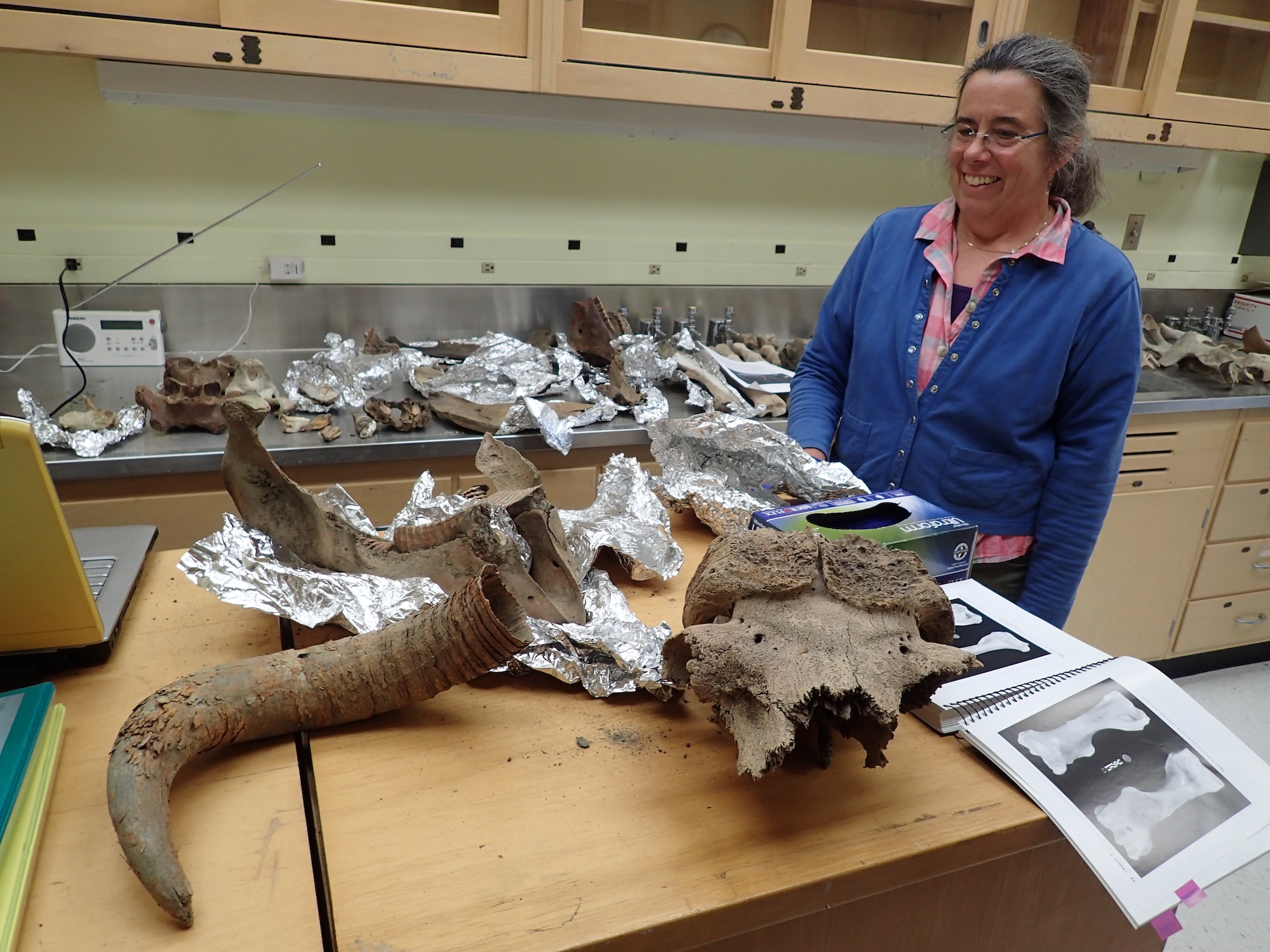 In a laboratory room, a woman smiles while looking at a wooden table on which several bones sit amid partially crumpled pieces of aluminum foil. In the background, a long metal counter holds similar specimens.