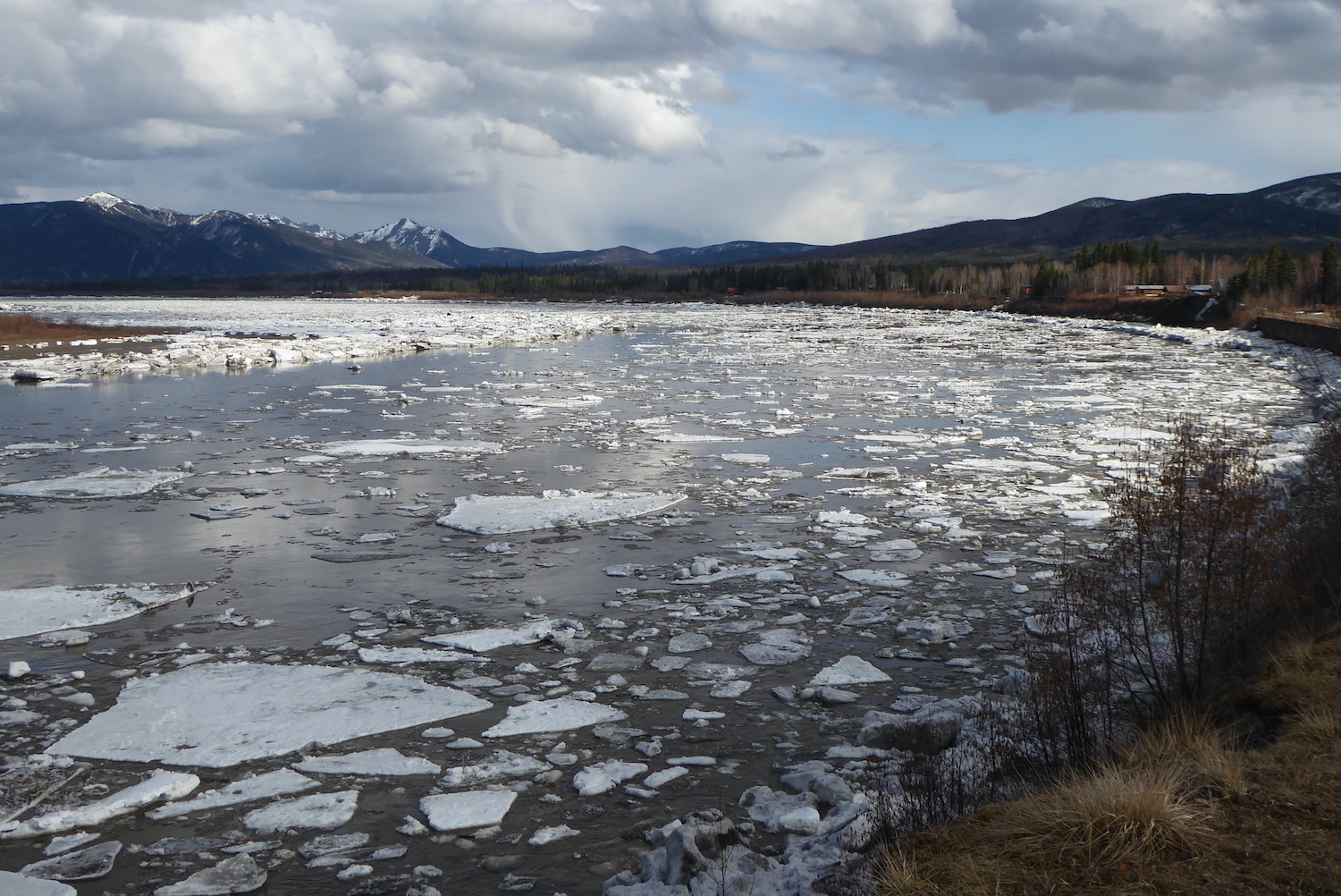 Ice chunks float on a river with mountains in the background.