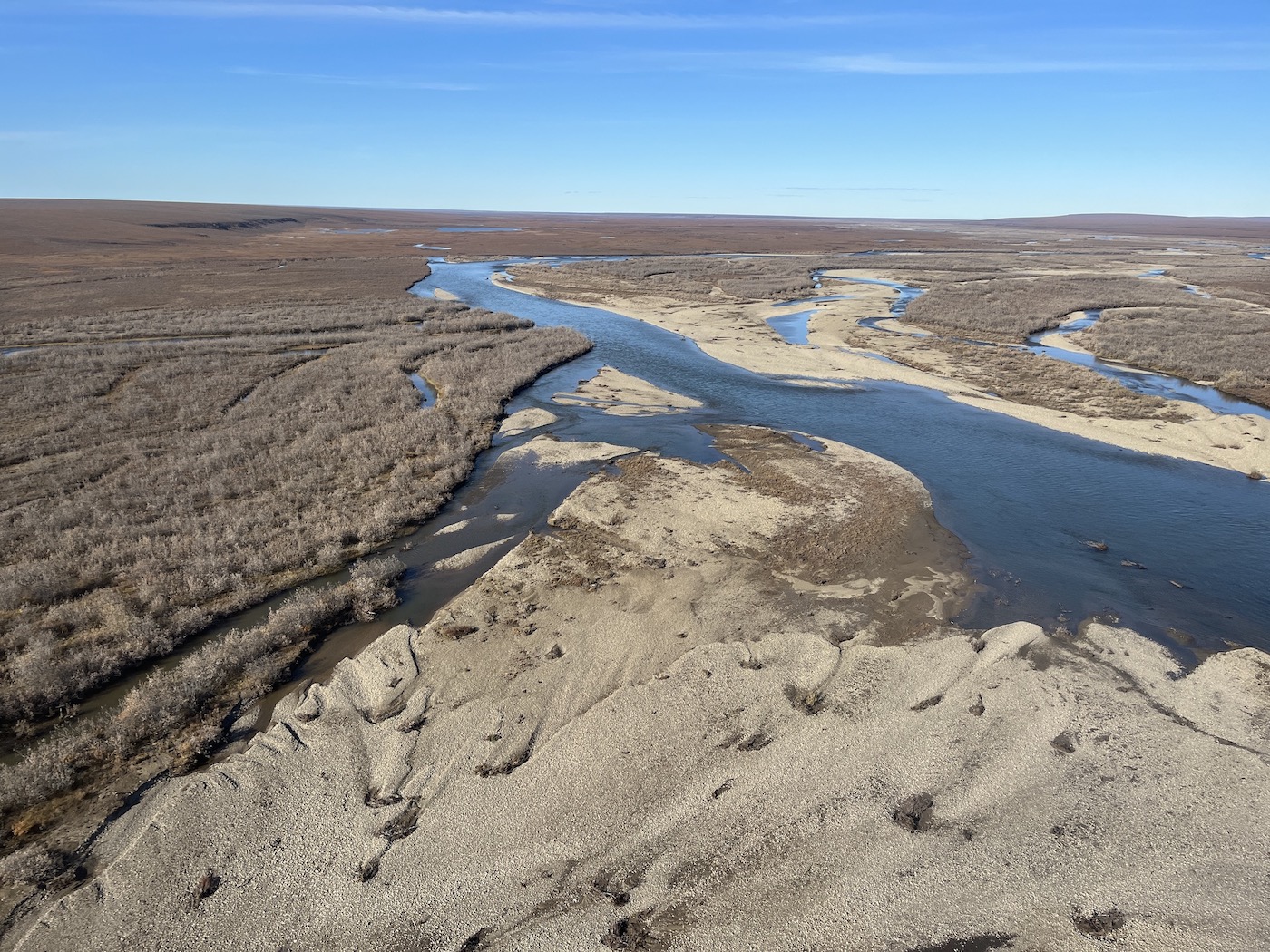 In this aerial photo, a clear river, braided by gravel bars, flows through a brown tundra landscape.