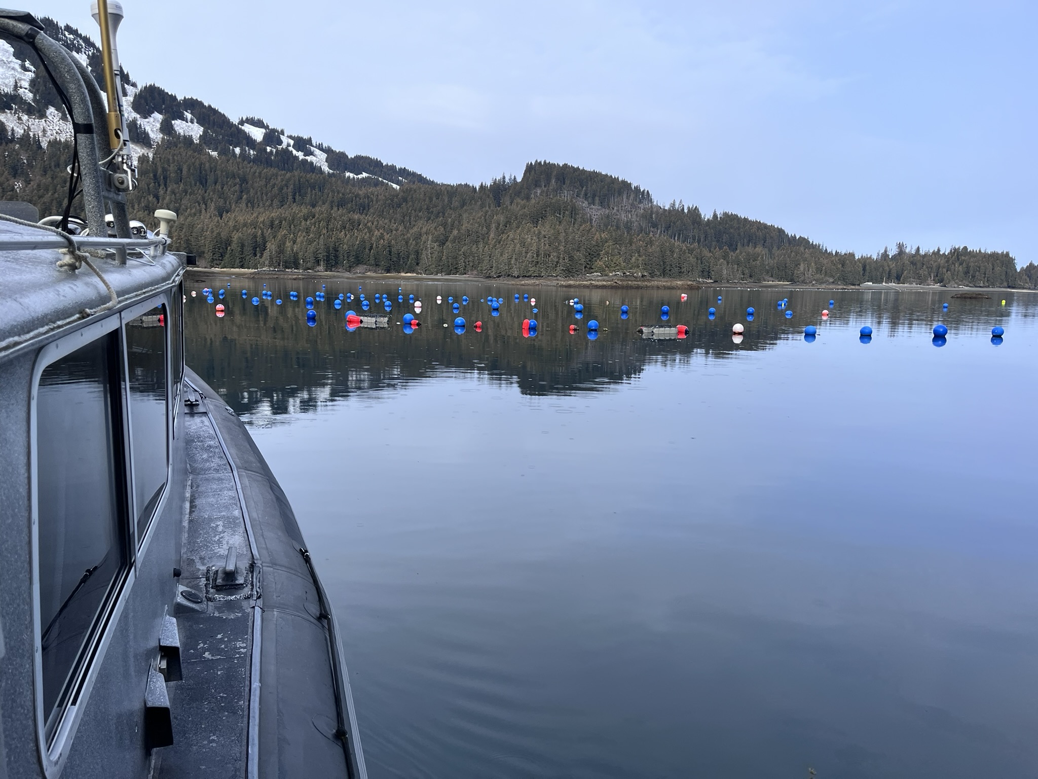 A boat navigates a kelp farm in Jakalof Bay, Alaska.