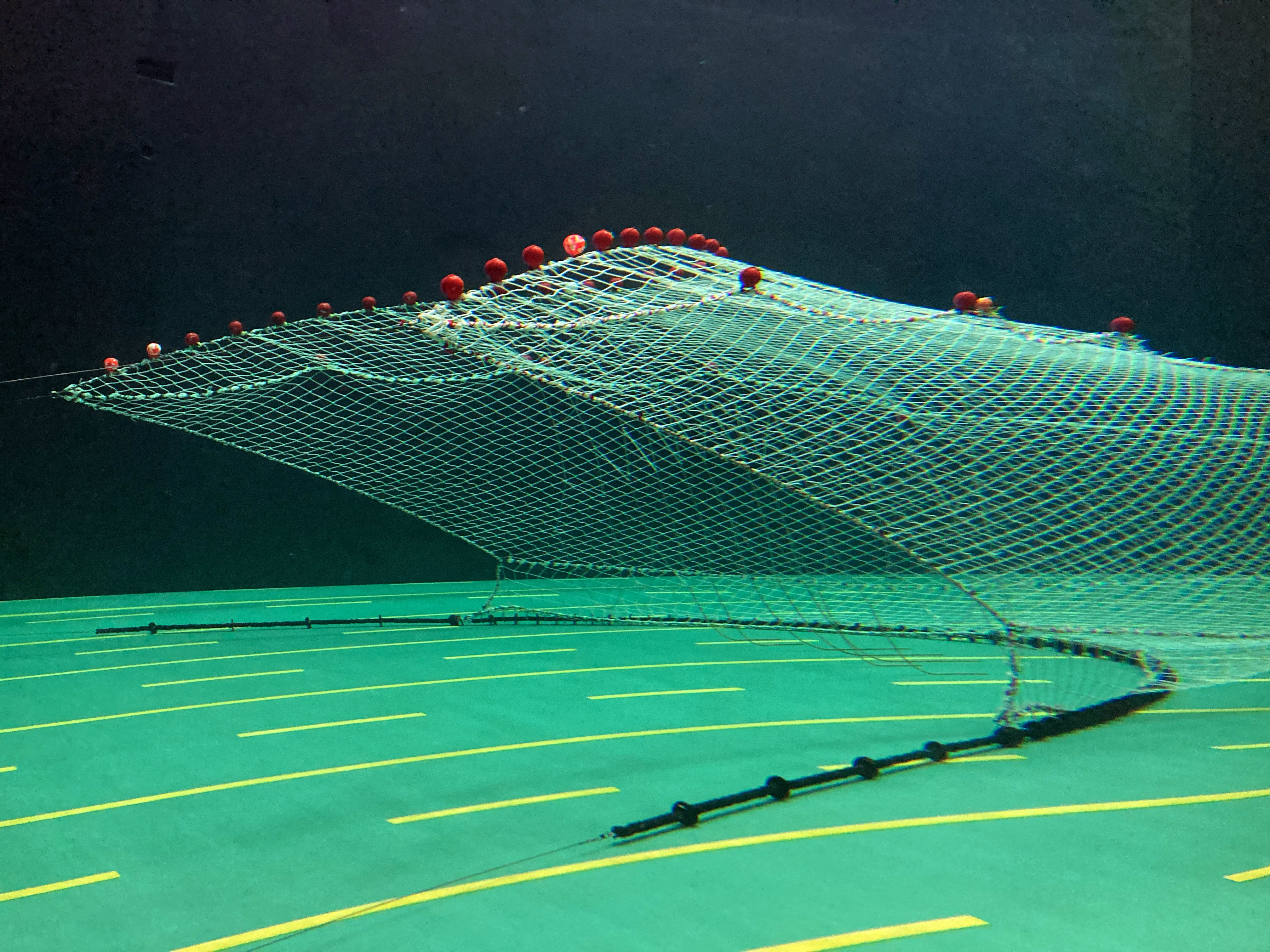 A modified trawl net with a "killer whale fence" made of modified webbing and chain in the net entrance undergoes a simulated haulback in a flume tank at Memorial University in Newfoundland, Canada. 