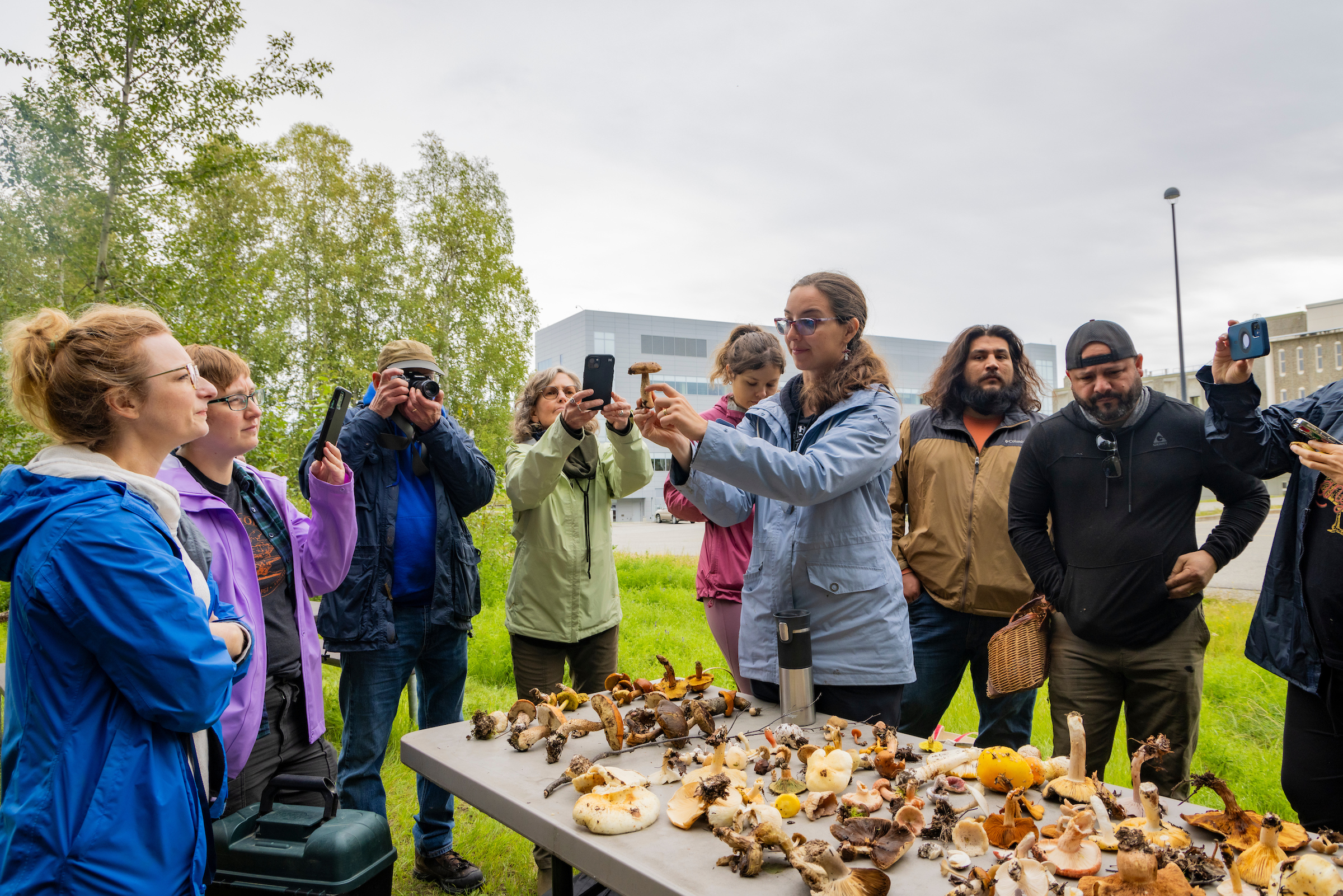 Students observe a mushroom during an Introduction to Mycology Summer Sessions course.
