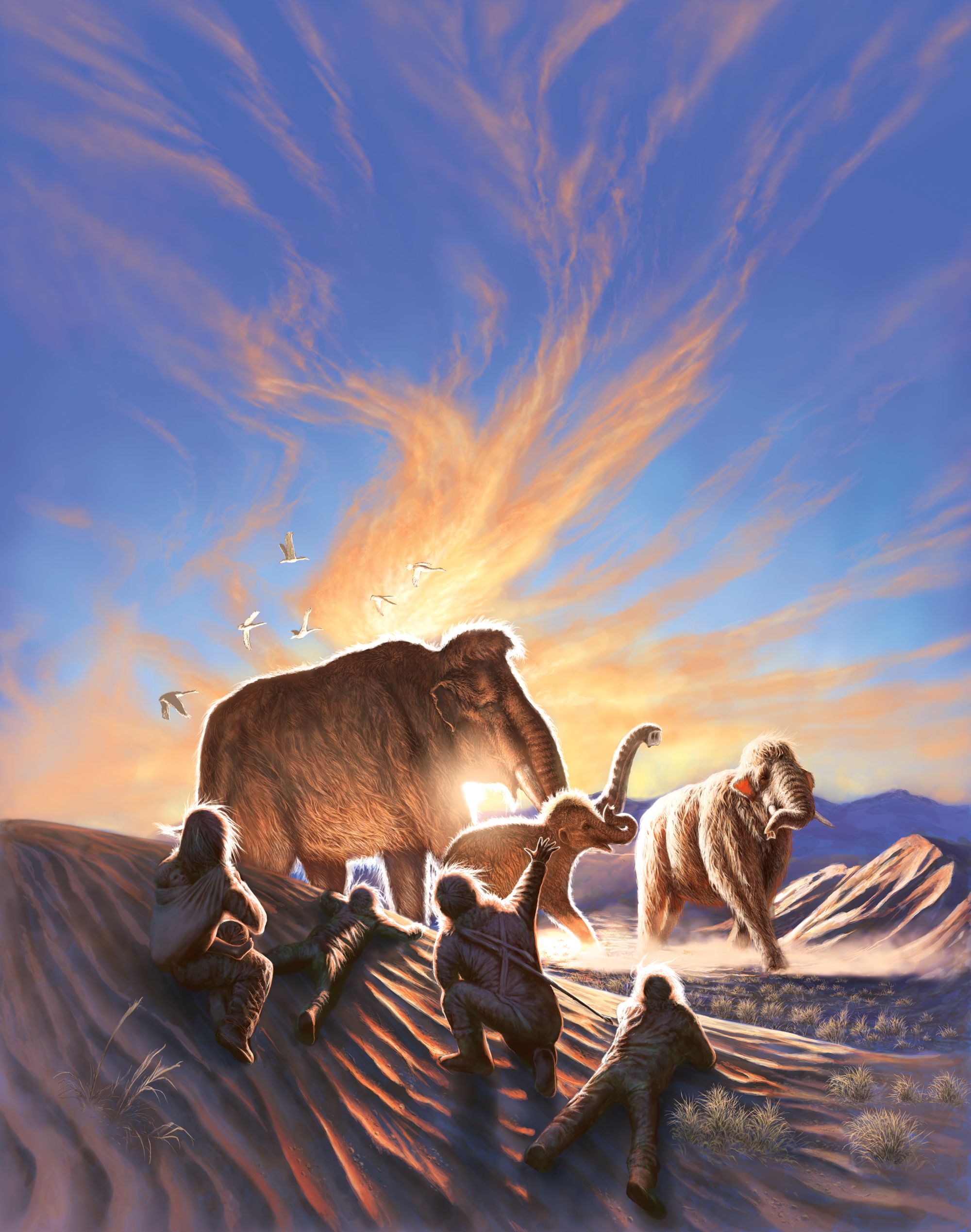 A painting portrays humans lying on a lightly vegetated dune while watching a group of woolly mammoths.