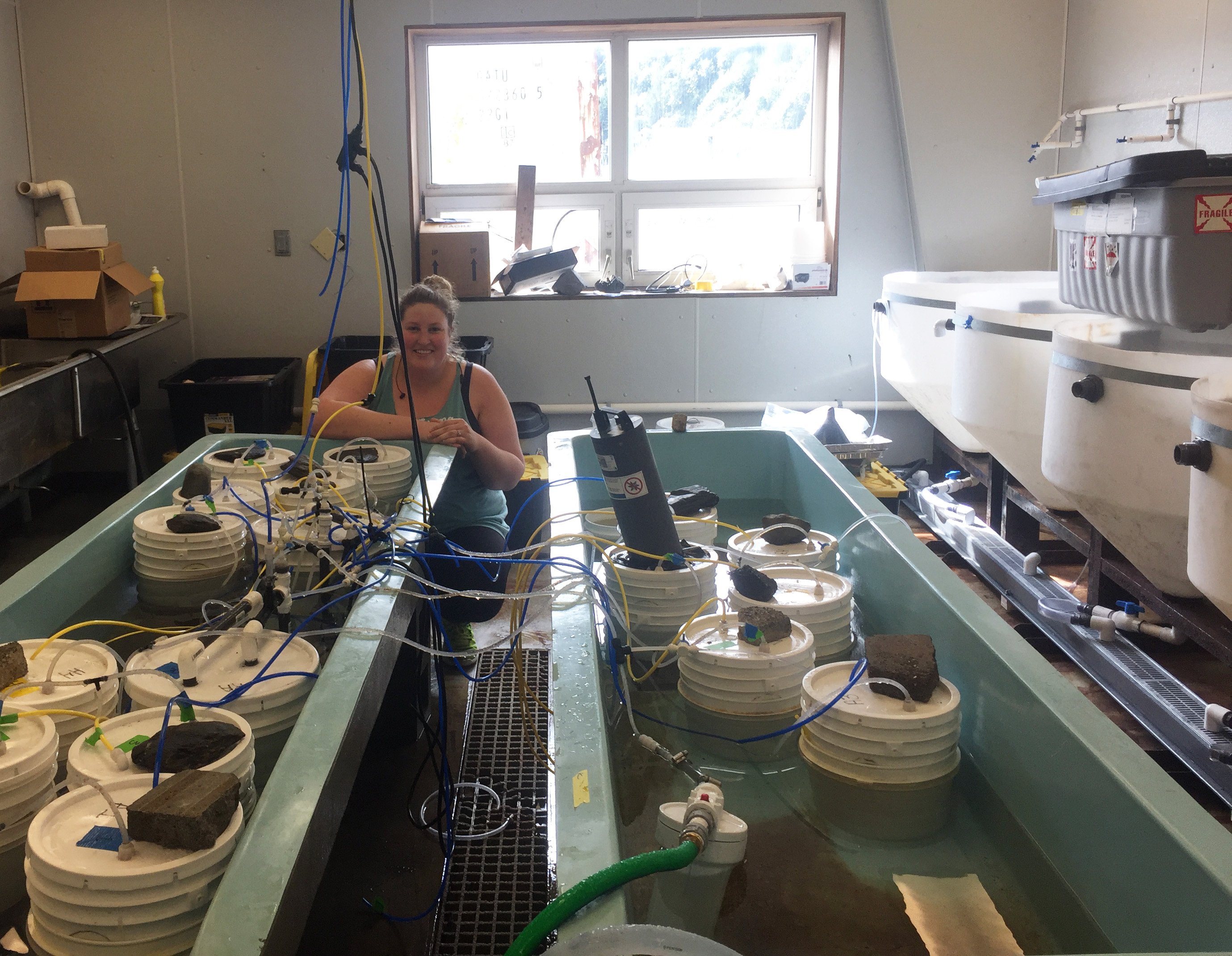 Marina Alcantar poses with buckets containing thousands of larval Pacific razor clams at the Alutiiq Pride Marine Institute in Seward, Alaska, during the summer of 2018.