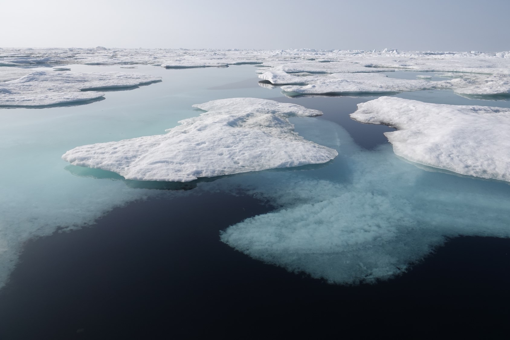 Arctic Ocean melt pond