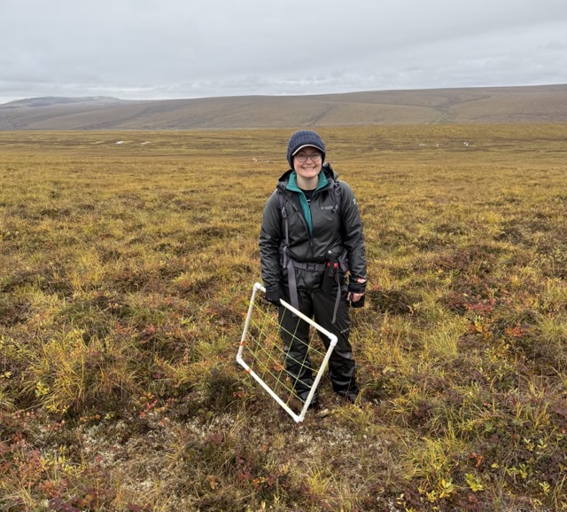 A field scientist stands in a rainy tundra while measuring plant cover
