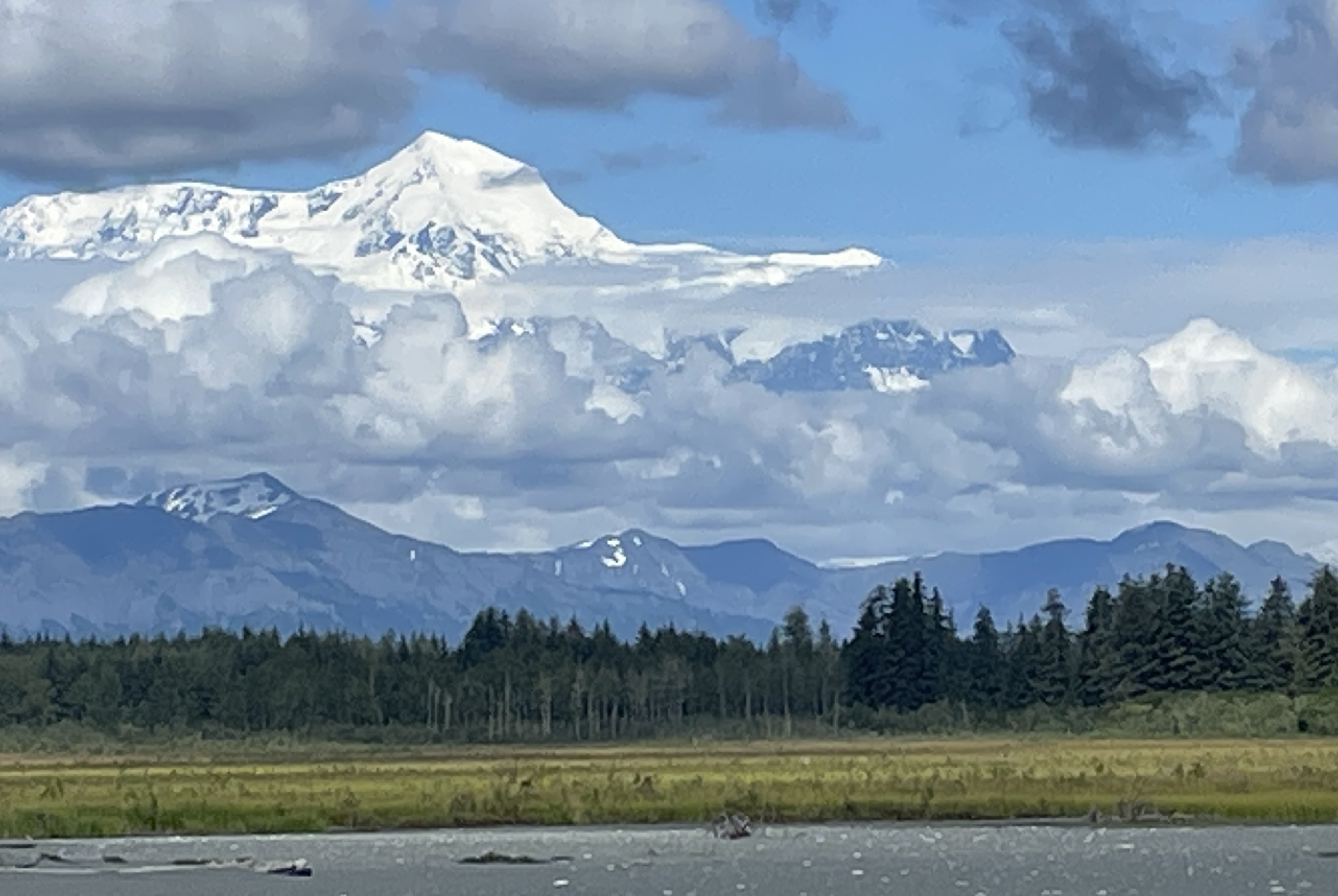 The sun illuminates a snow-capped mountain rising above small cumulus clouds, dark foothills, a mixed evergreen and deciduous forest, a grassy field and a gravel beach.