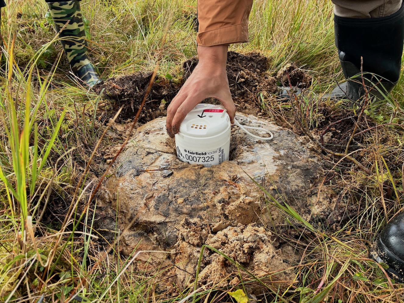 A person's hand grasps a white cylinder, about 6-inches across, set in a blob of frozen mud surrounded by green grass.