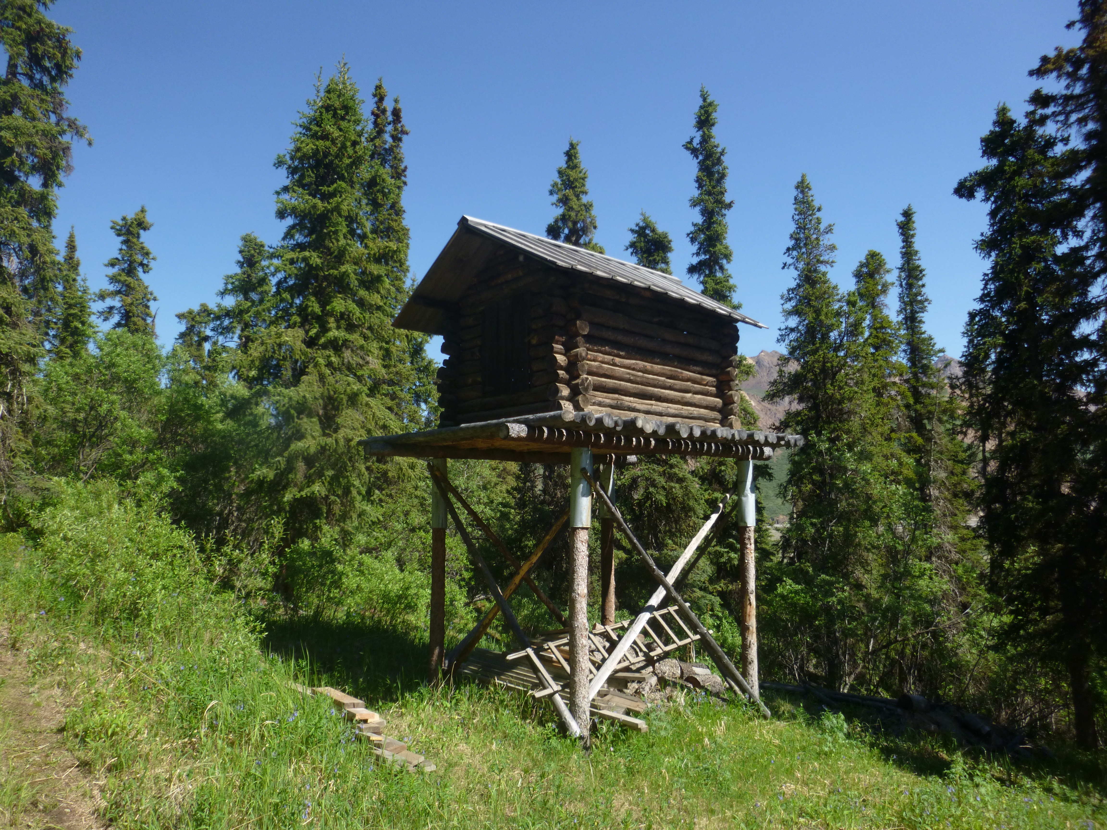 Log food cache in Denali.