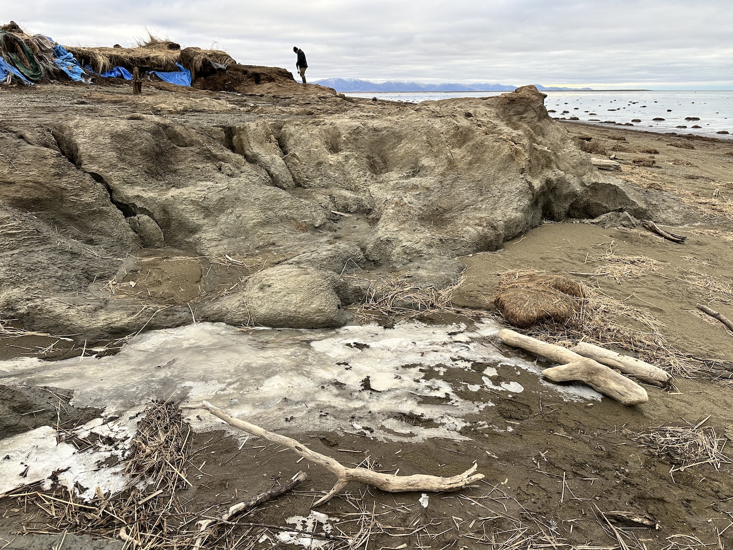Blue tarps lie on the ground above an eroding shoreline that is littered with grassy debris, driftwood and a patch of thin ice.