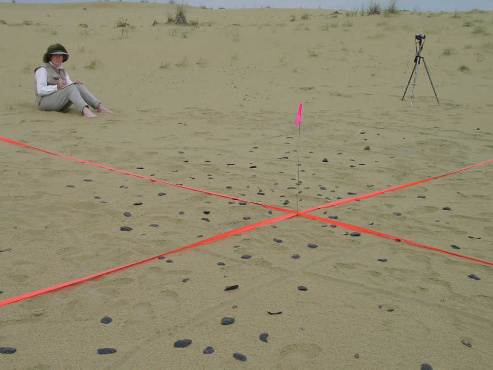 A person sits on sand studded with black rocks. A large X made of orange survey tape lies on the surface, with an upright wire wand stuck in the center of the X. A camera rests on a tripod beyond the area of black rocks and survey tape.