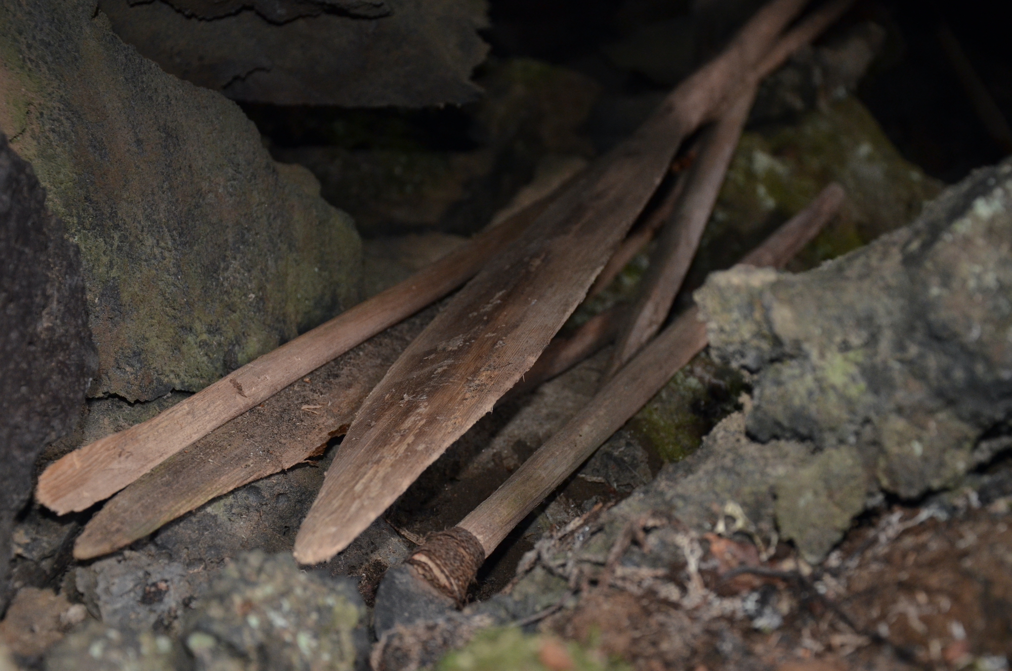Wooden paddles and shafts lie on lichen-covered rocks in a dim cave area.