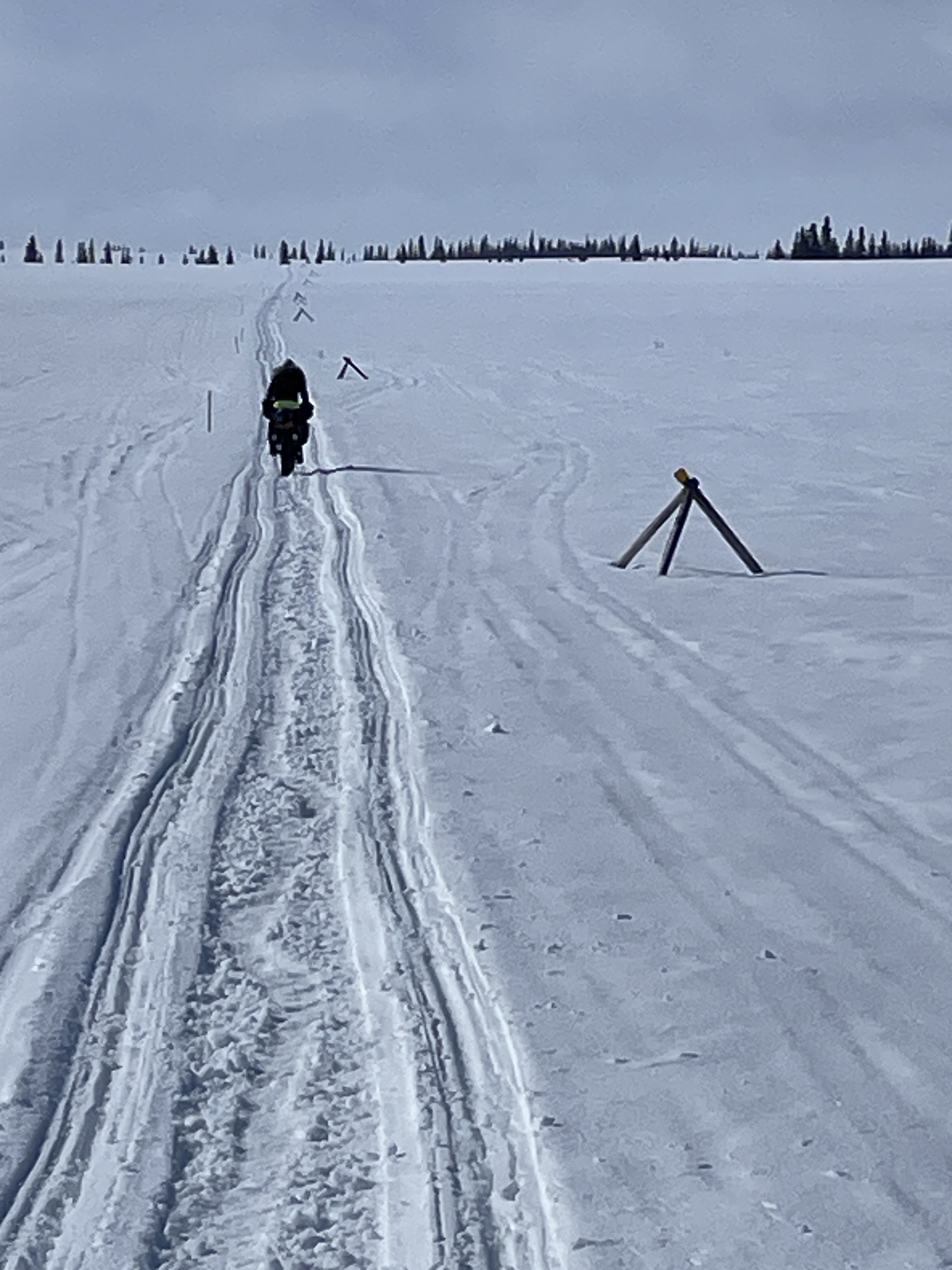 A person rides a bicycle down a straight snowmachine trail across an open plain of snow, with a thin line of spruce trees on the horizon. Tripod trail markers poke out of the snow to the right of the trail.