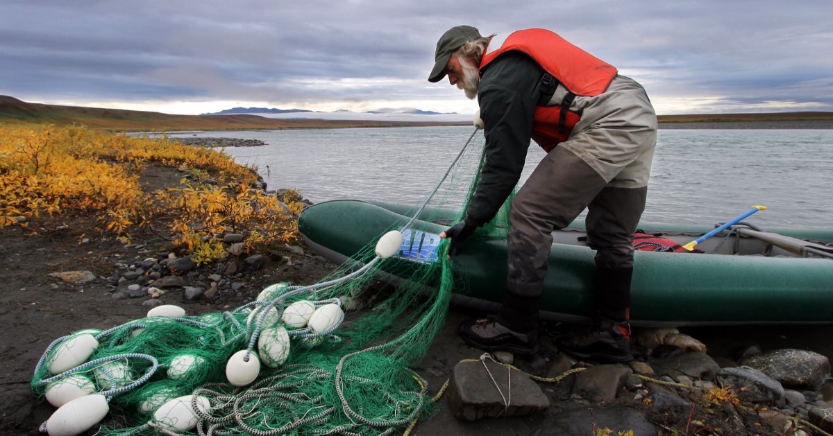 A man wearing an orange life preserver loads a fishing net into to a green inflatable boat on the cobbled shore of a lake surrounded by tundra in yellow fall color.