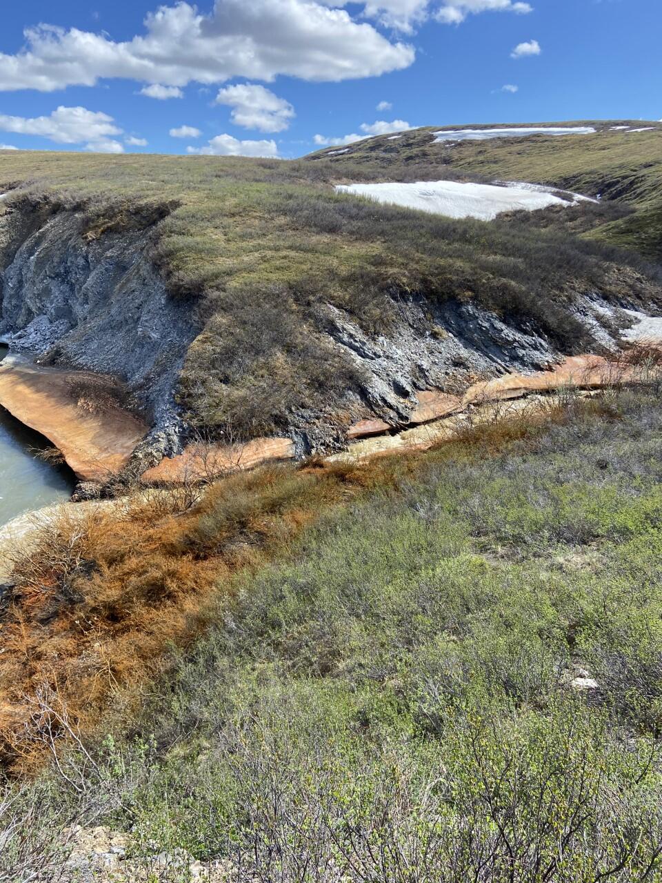 Vegetation surrounding a creek is colored orange.